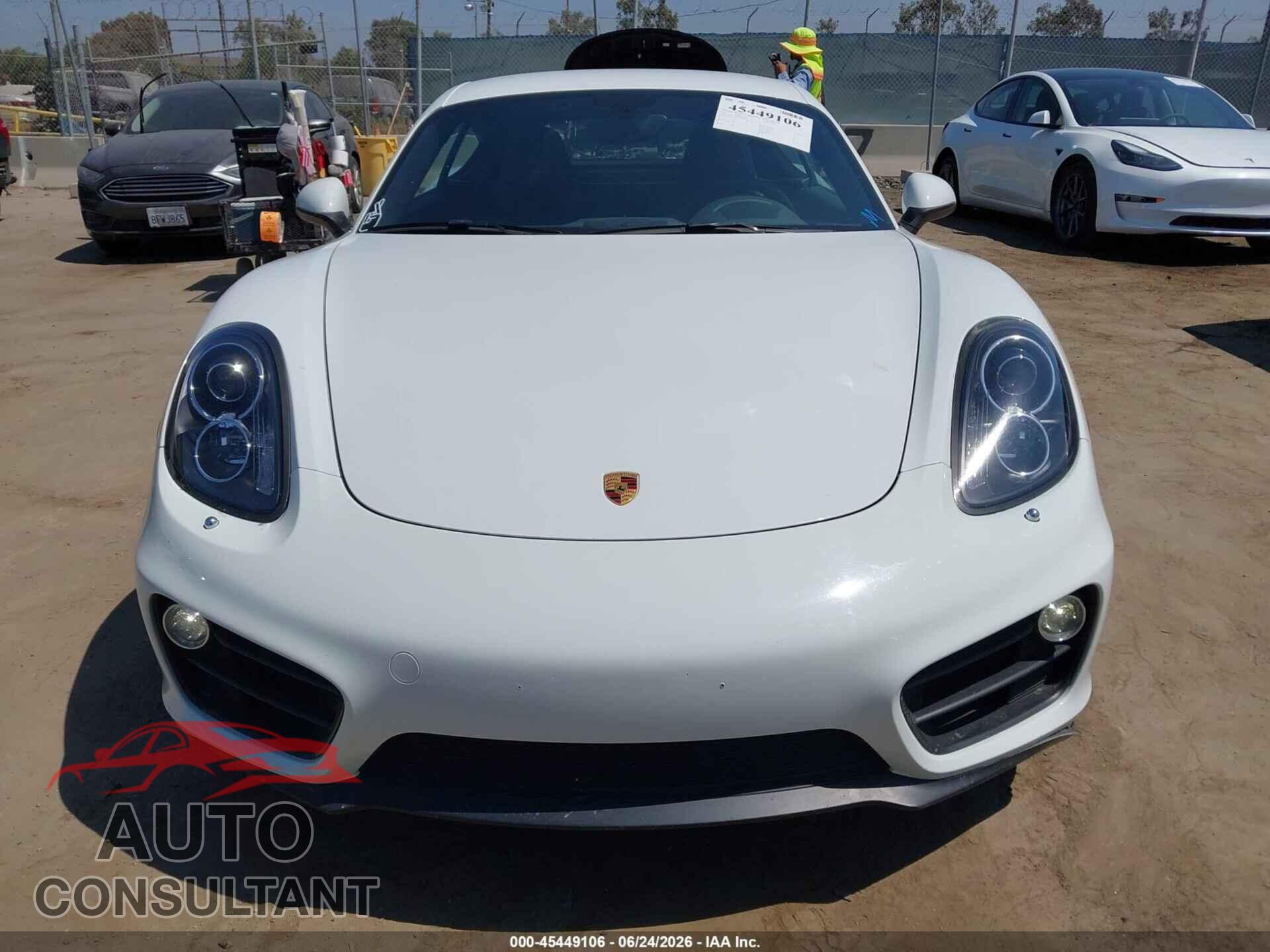 PORSCHE CAYMAN 2015 - WP0AA2A87FK161055