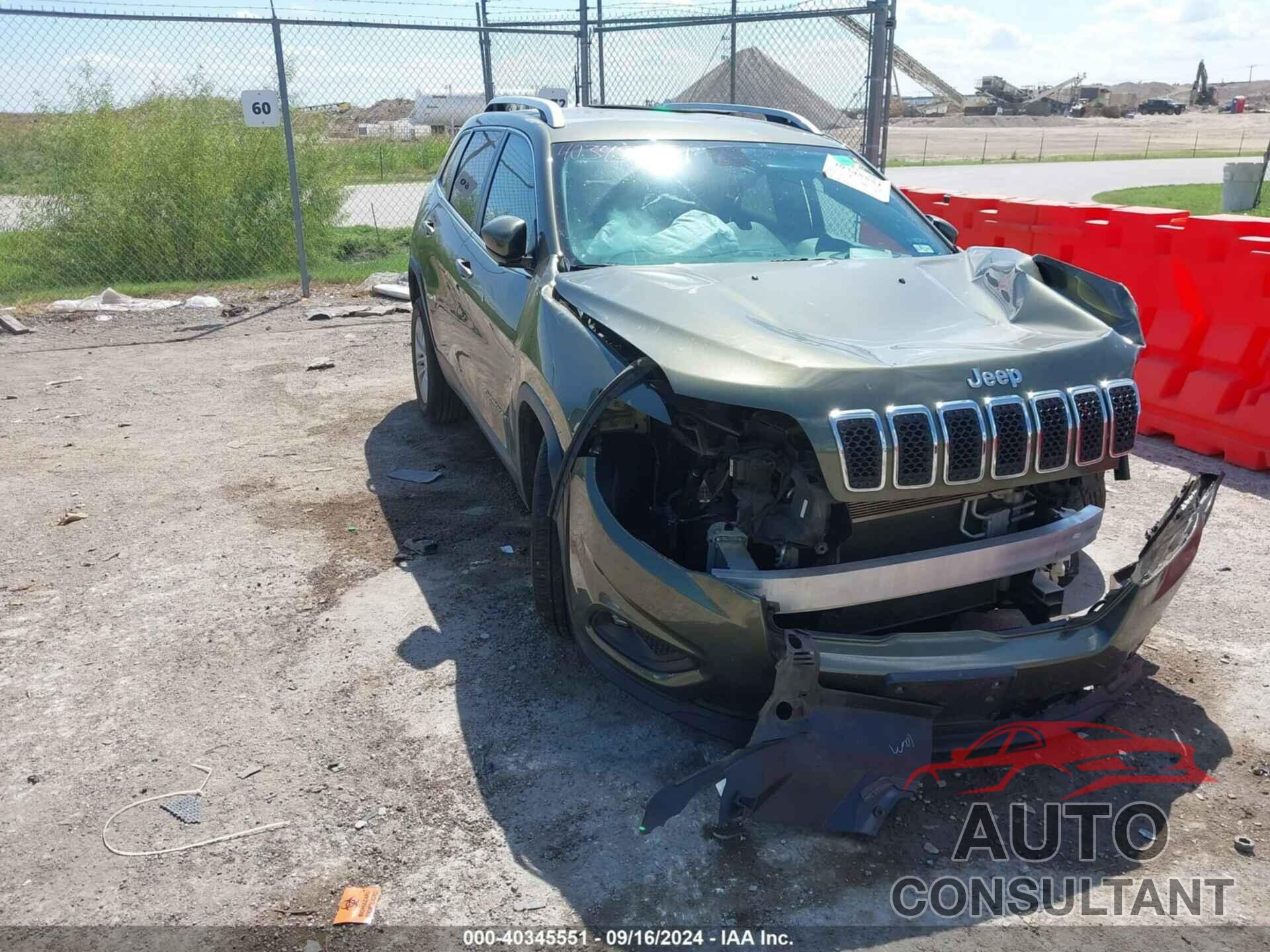 JEEP CHEROKEE 2019 - 1C4PJLCB2KD153467