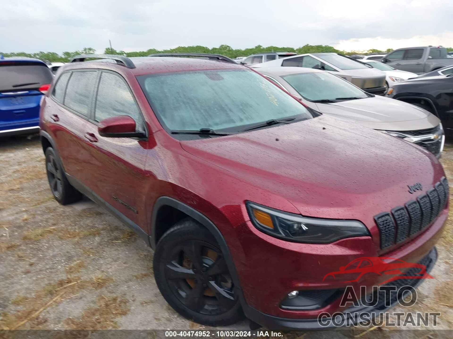 JEEP CHEROKEE 2020 - 1C4PJLLBXLD586259
