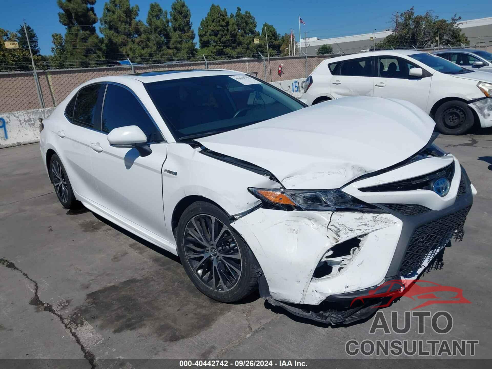 TOYOTA CAMRY HYBRID 2019 - 4T1B21HK5KU518272