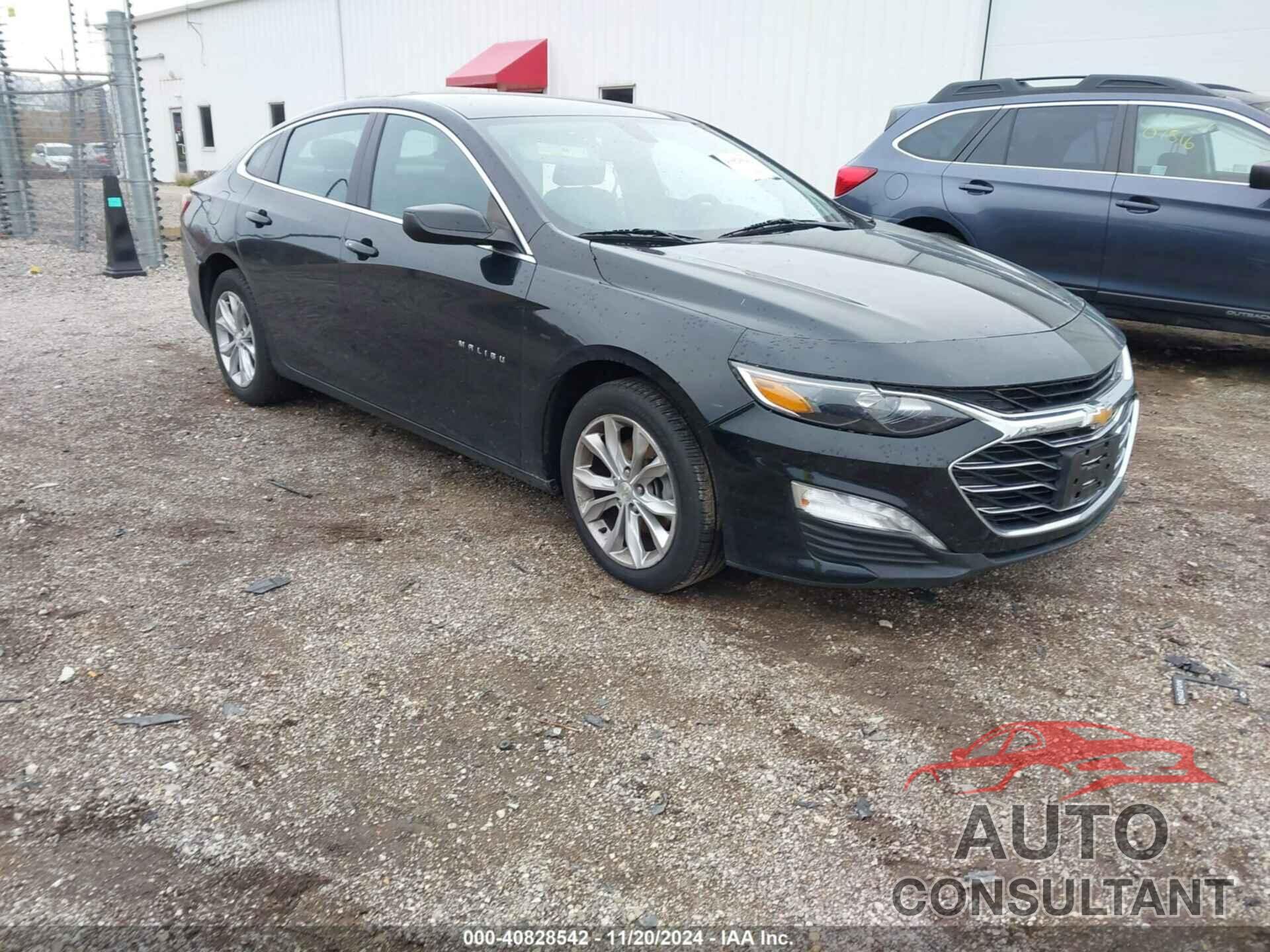 CHEVROLET MALIBU 2019 - 1G1ZD5ST5KF179743