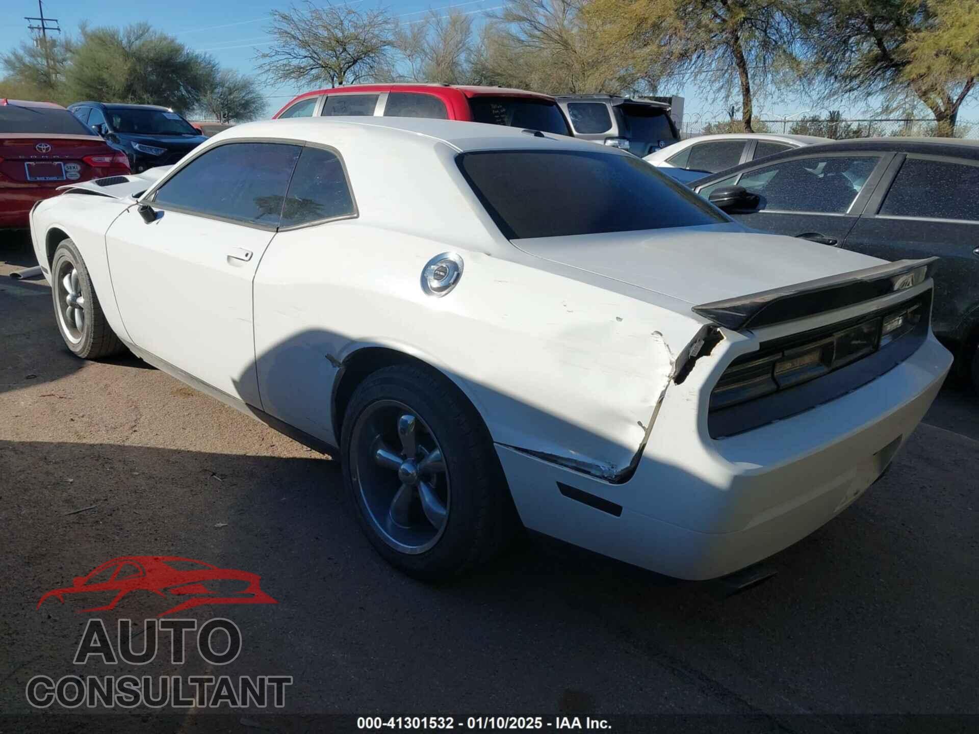 DODGE CHALLENGER 2013 - 2C3CDYBT2DH601018