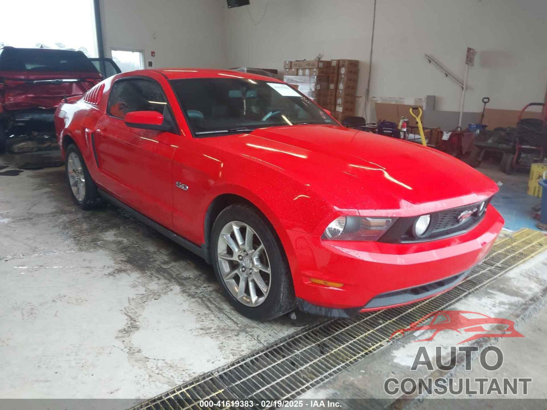 FORD MUSTANG 2011 - 1ZVBP8CF9B5161341