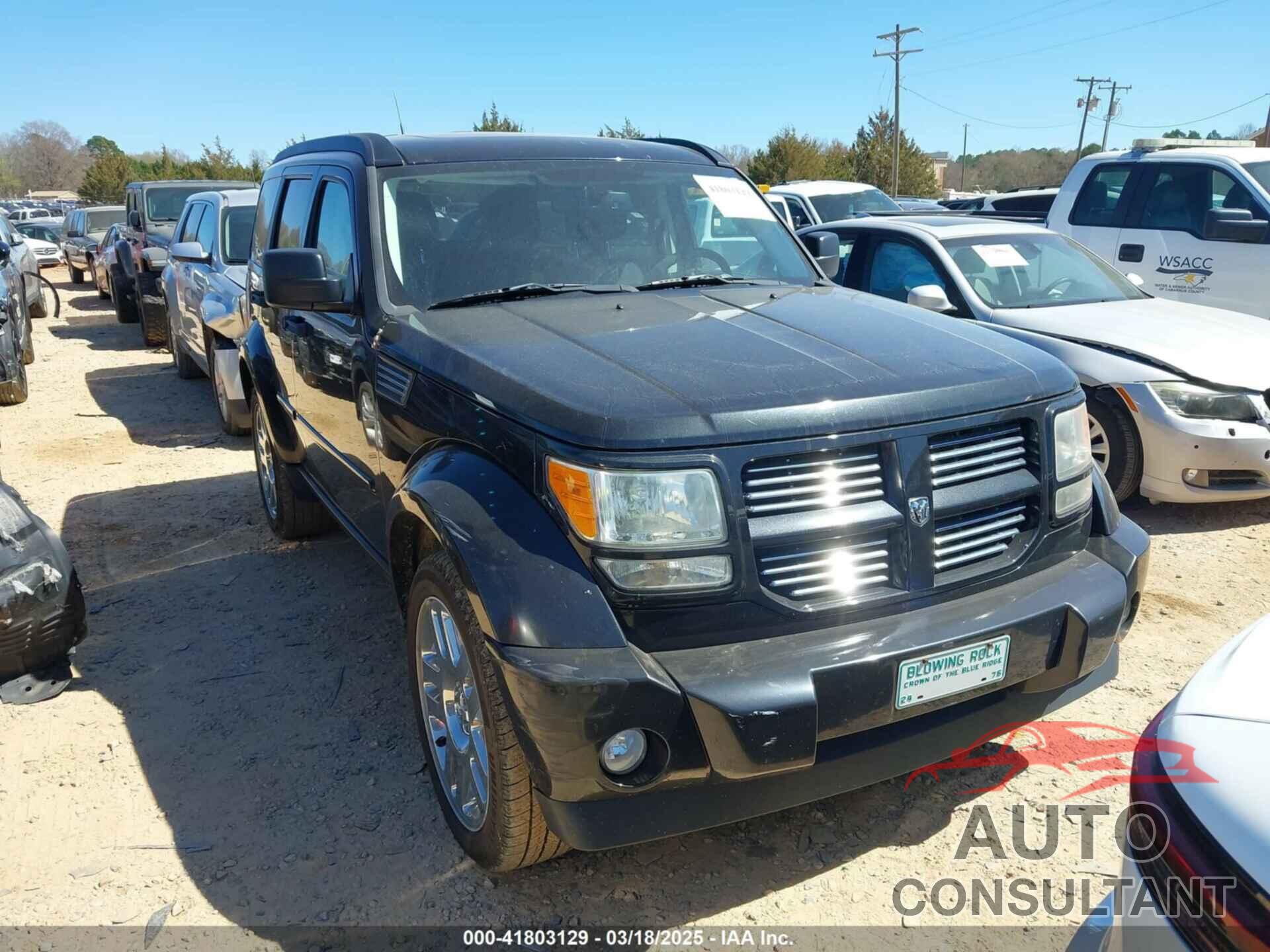 DODGE NITRO 2011 - 1D4PU4GX7BW565927