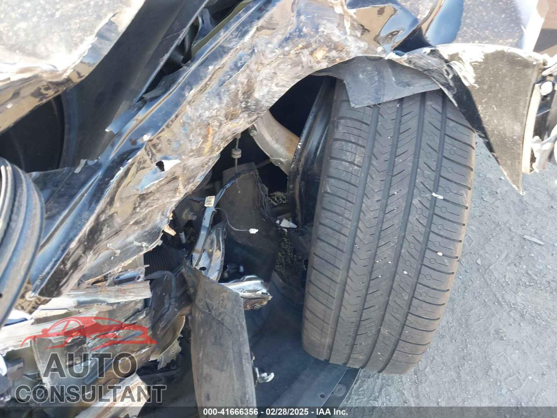 TESLA MODEL 3 2019 - 5YJ3E1EA5KF193059