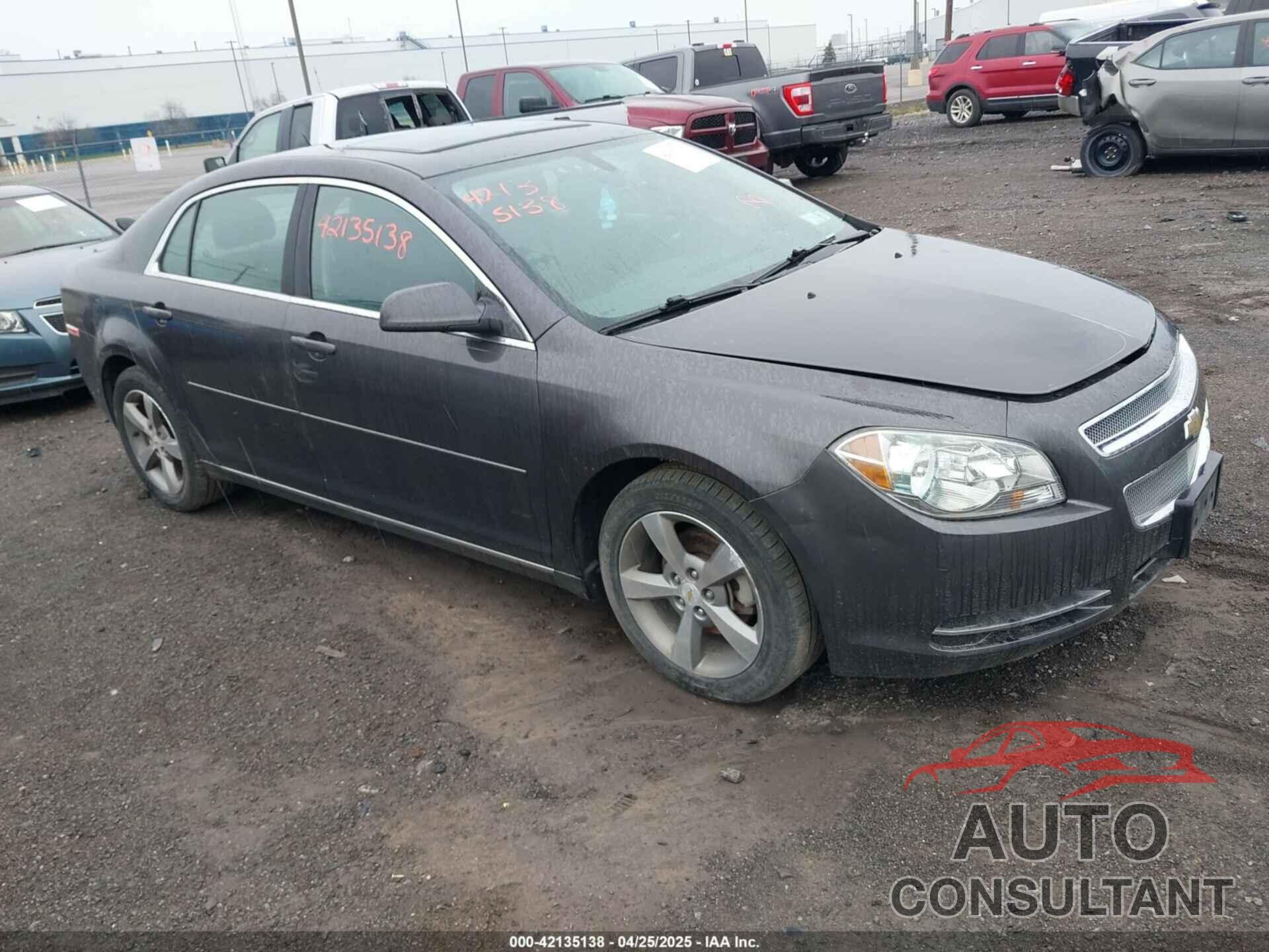 CHEVROLET MALIBU 2011 - 1G1ZC5E15BF336300