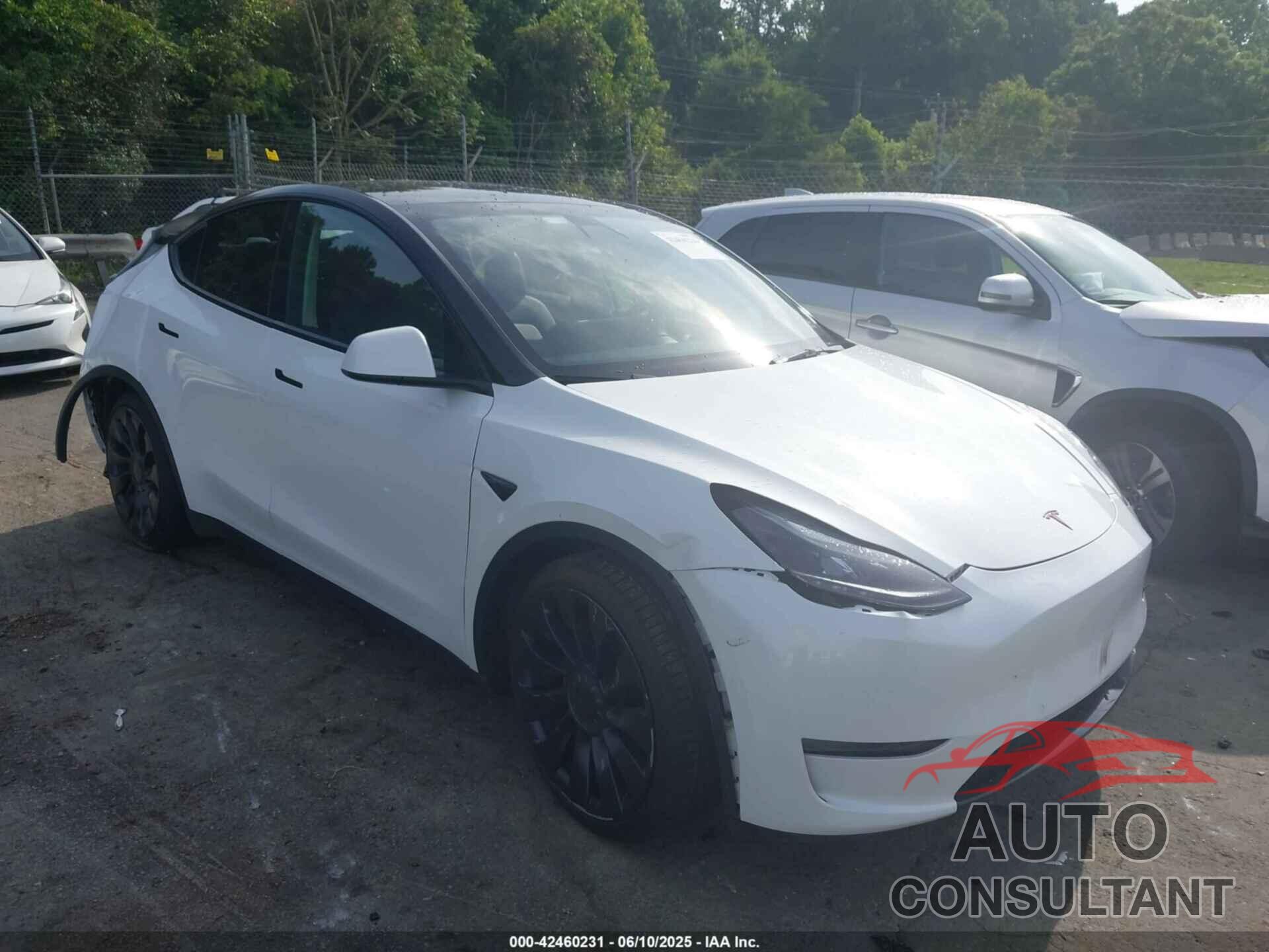 TESLA MODEL Y 2022 - 7SAYGDEF6NF457734