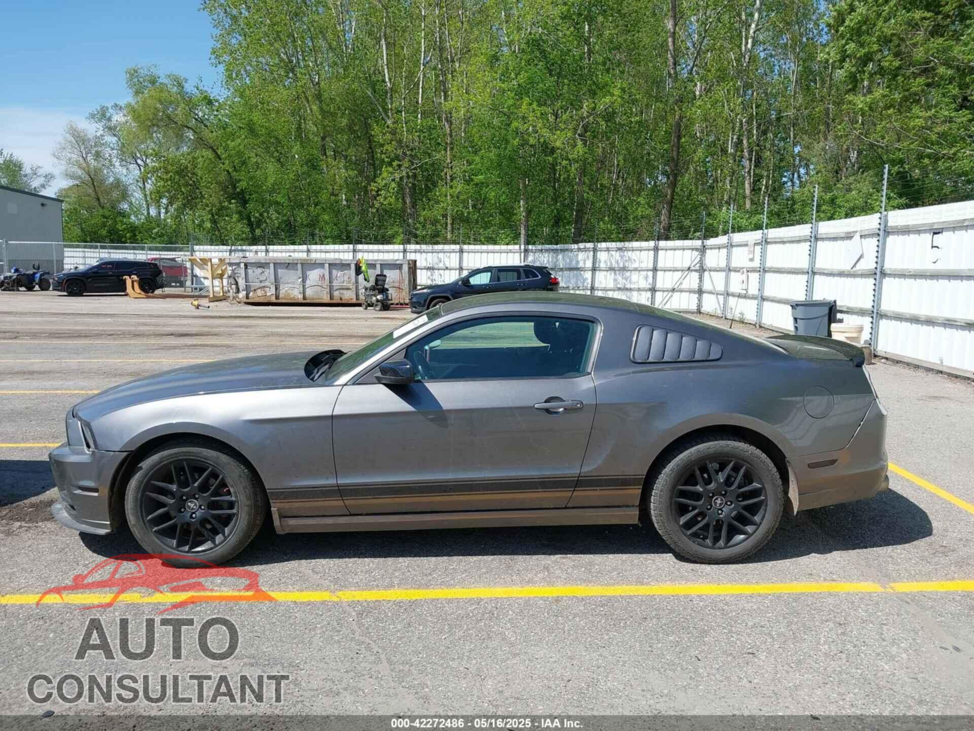 FORD MUSTANG 2014 - 1ZVBP8AM4E5334334