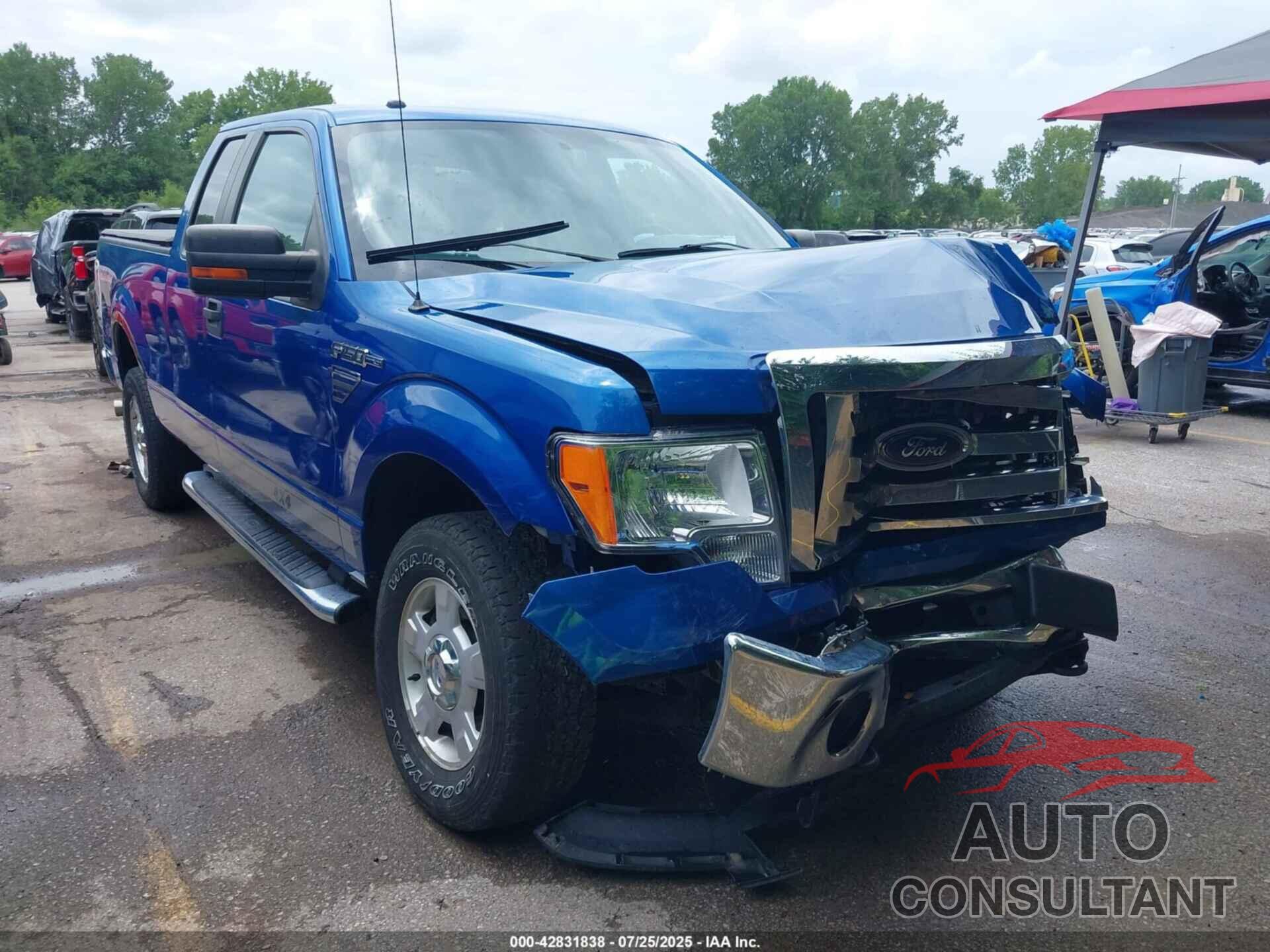 FORD F-150 2011 - 1FTFX1EFXBFB66891