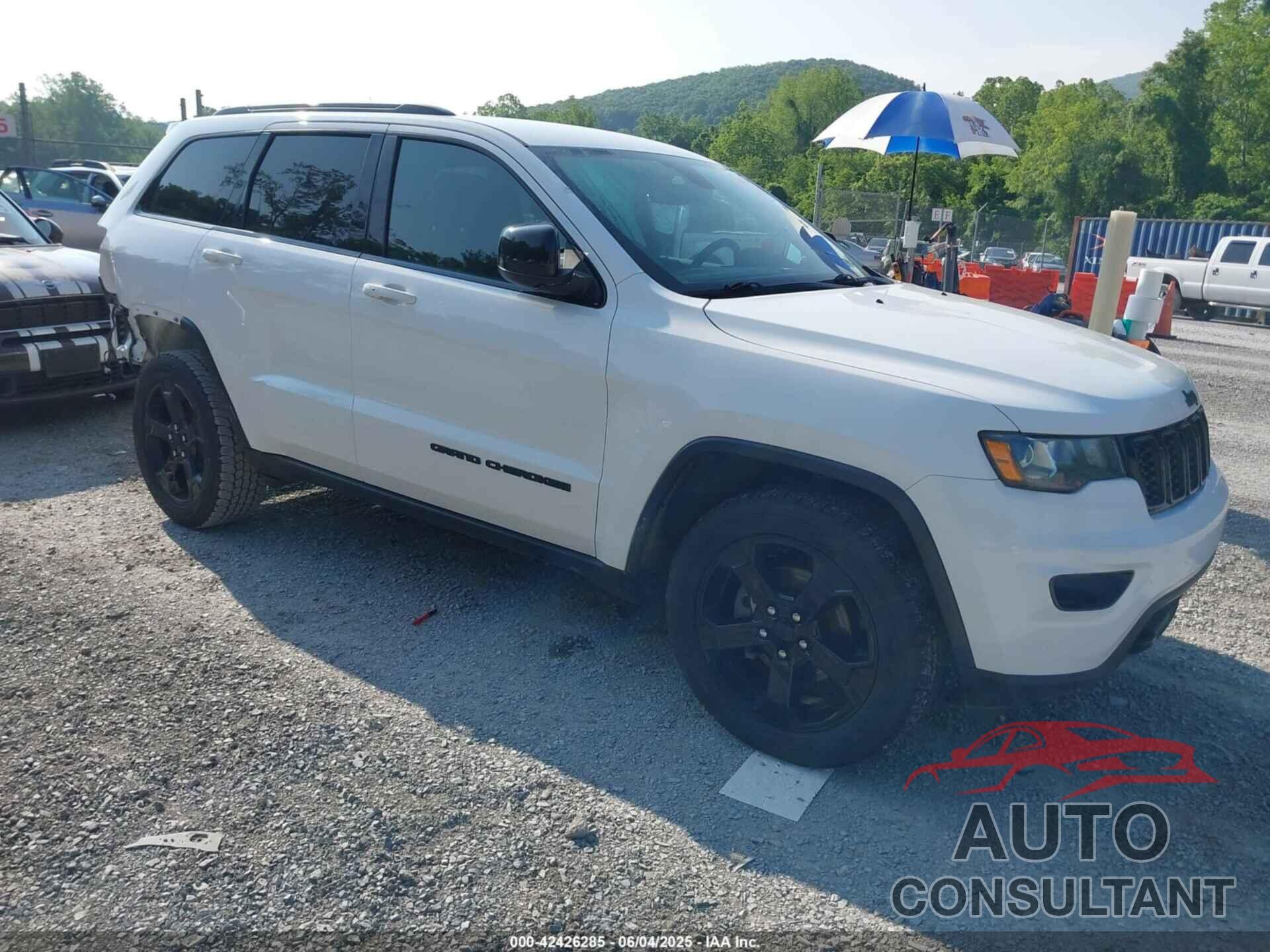 JEEP GRAND CHEROKEE 2019 - 1C4RJFAG1KC829339