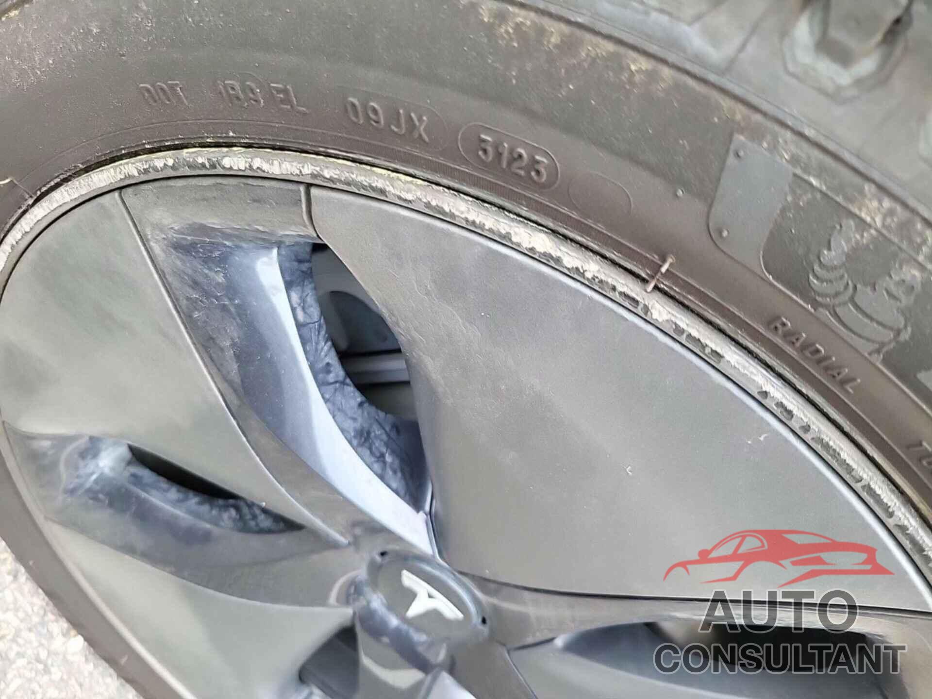 TESLA MODEL 3 2019 - 5YJ3E1EB0KF199215