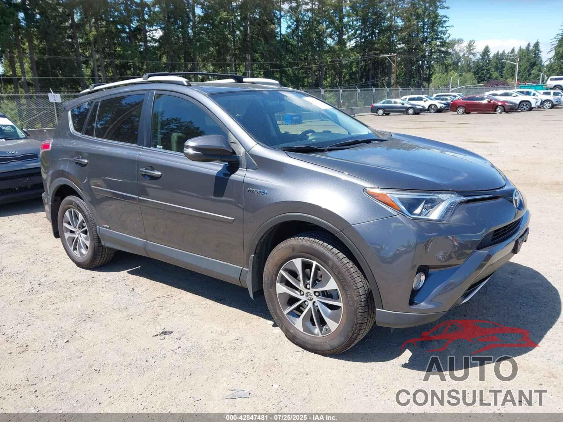 TOYOTA RAV4 HYBRID 2016 - JTMRJREV2GD050561
