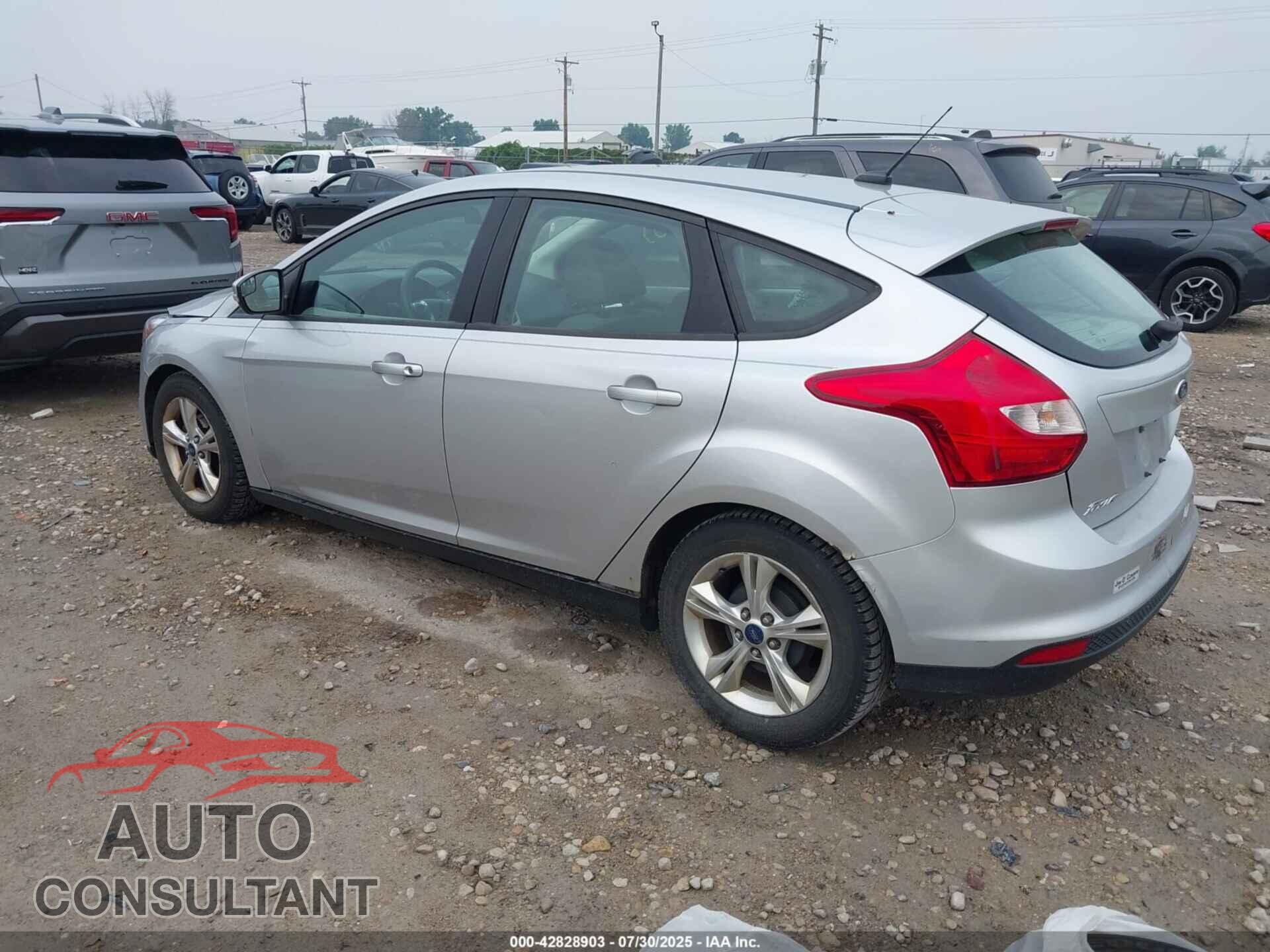 FORD FOCUS 2014 - 1FADP3K25EL135564
