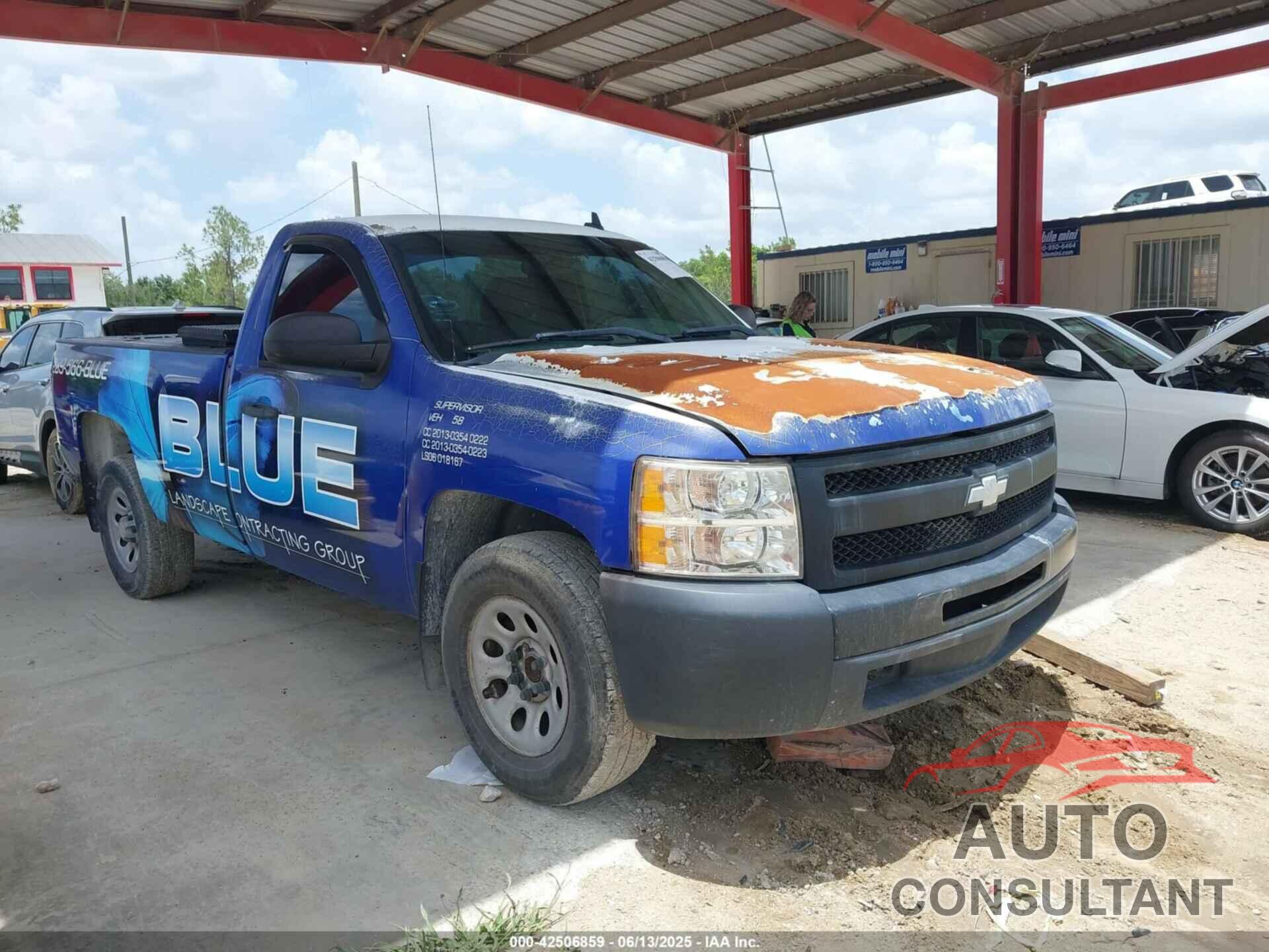 CHEVROLET SILVERADO 1500 2009 - 1GCEC14X19Z223554
