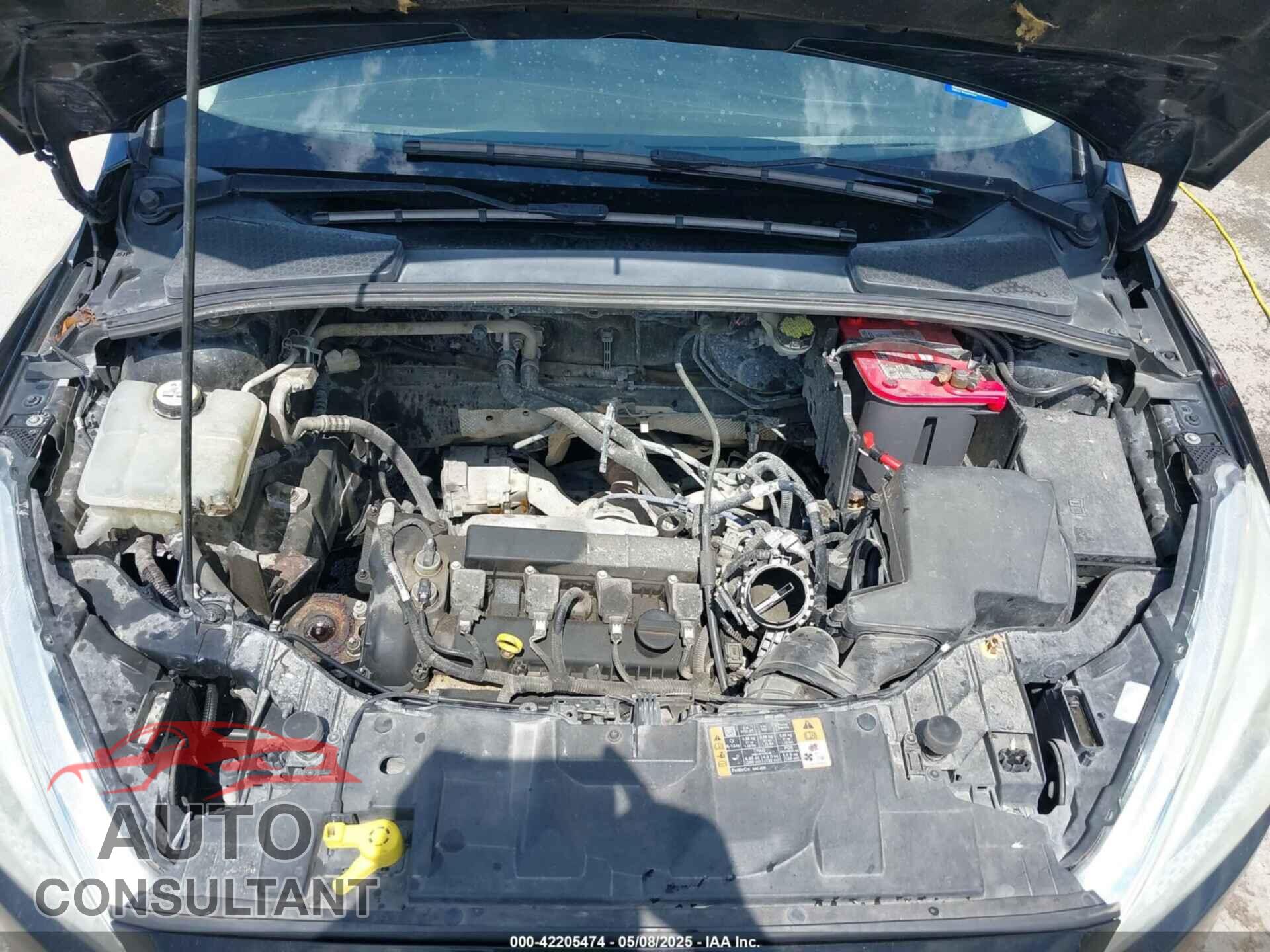 FORD FOCUS 2015 - 1FADP3F2XFL313657