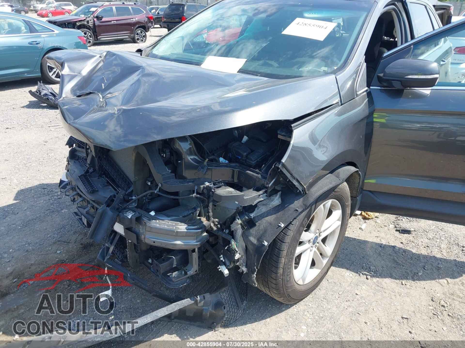 FORD EDGE 2019 - 2FMPK3J95KBC15829