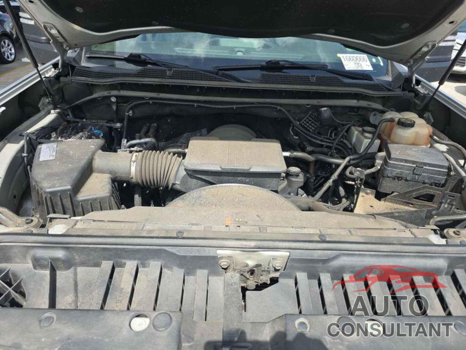 CHEVROLET SILVERADO 2020 - 1GC1WNE75LF299086