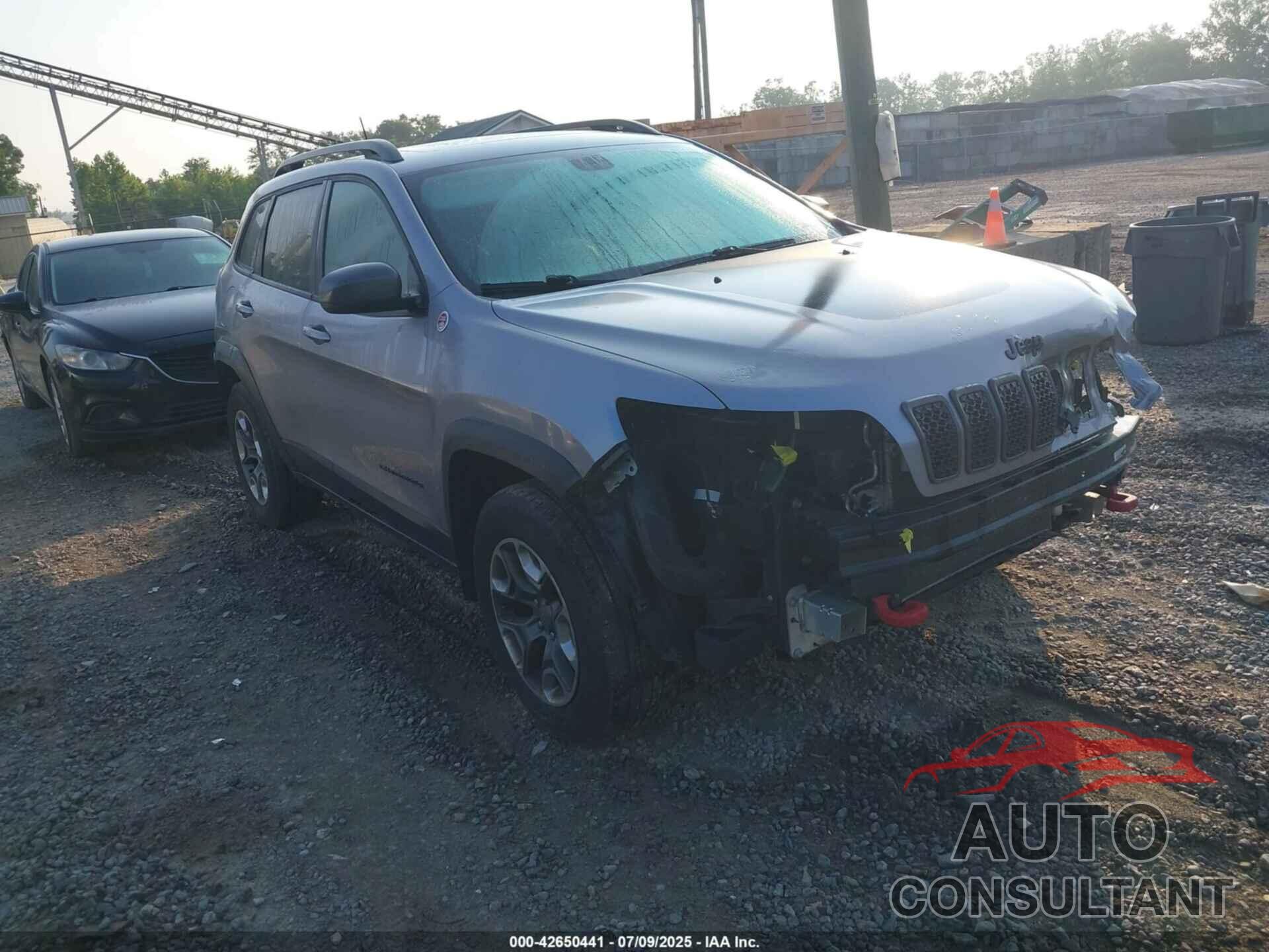JEEP CHEROKEE 2019 - 1C4PJMBX0KD315325