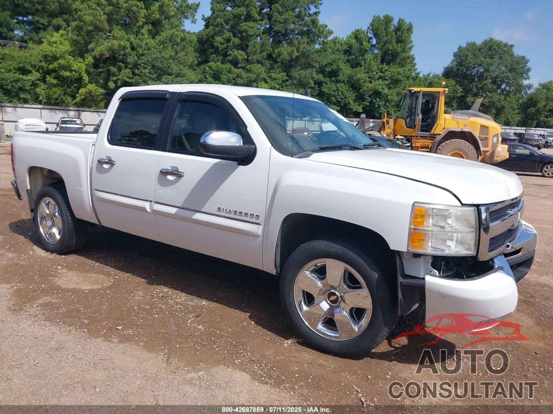 CHEVROLET SILVERADO 1500 2010 - 3GCRCSE00AG264240