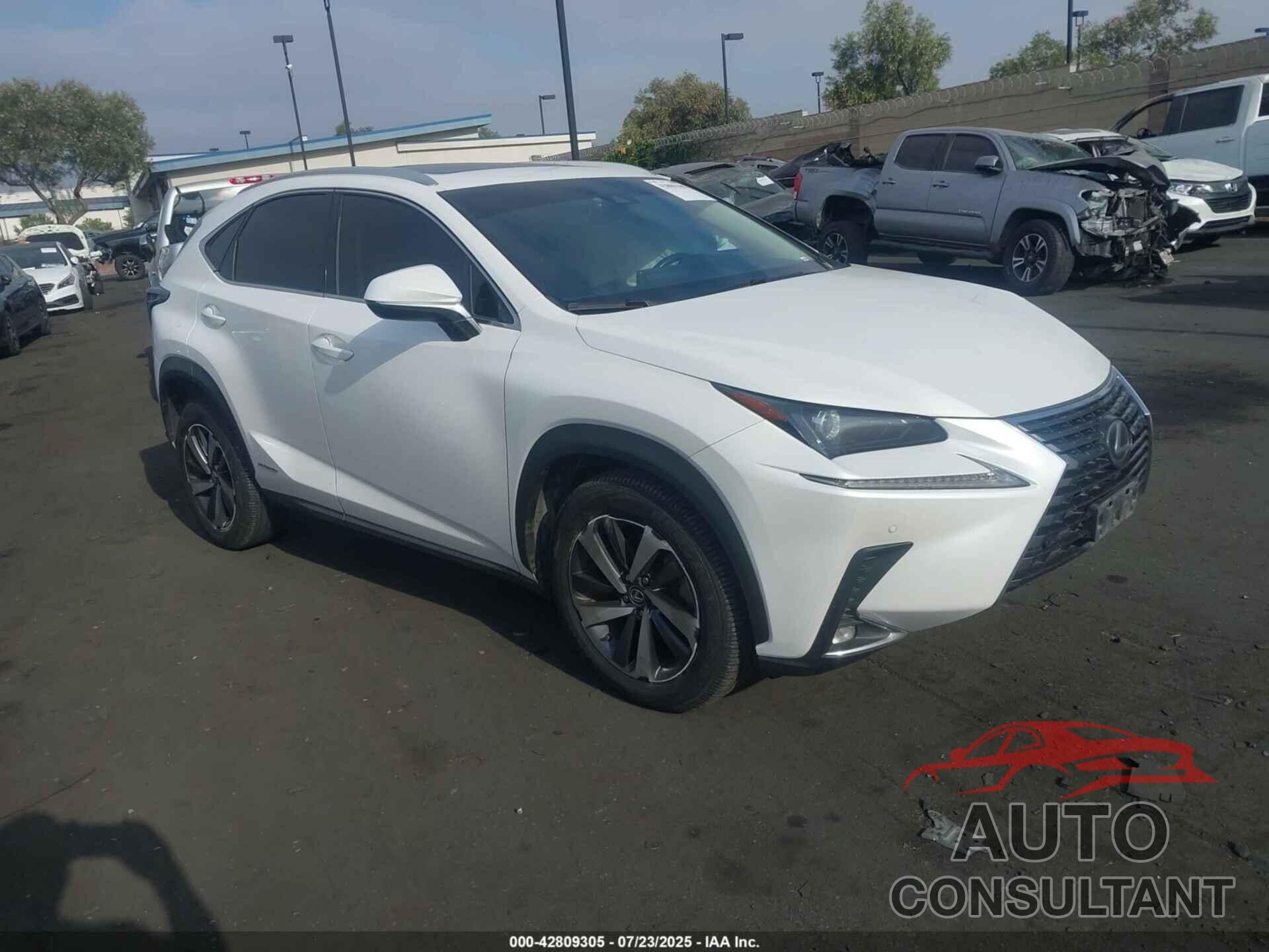 LEXUS NX 300H 2019 - JTJBJRBZ4K2097004