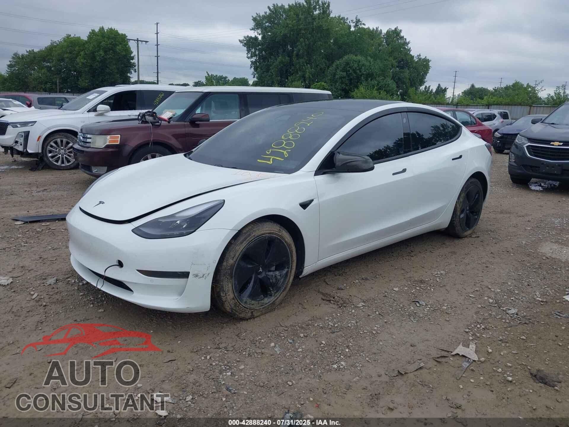 TESLA MODEL 3 2021 - 5YJ3E1EA0MF016051