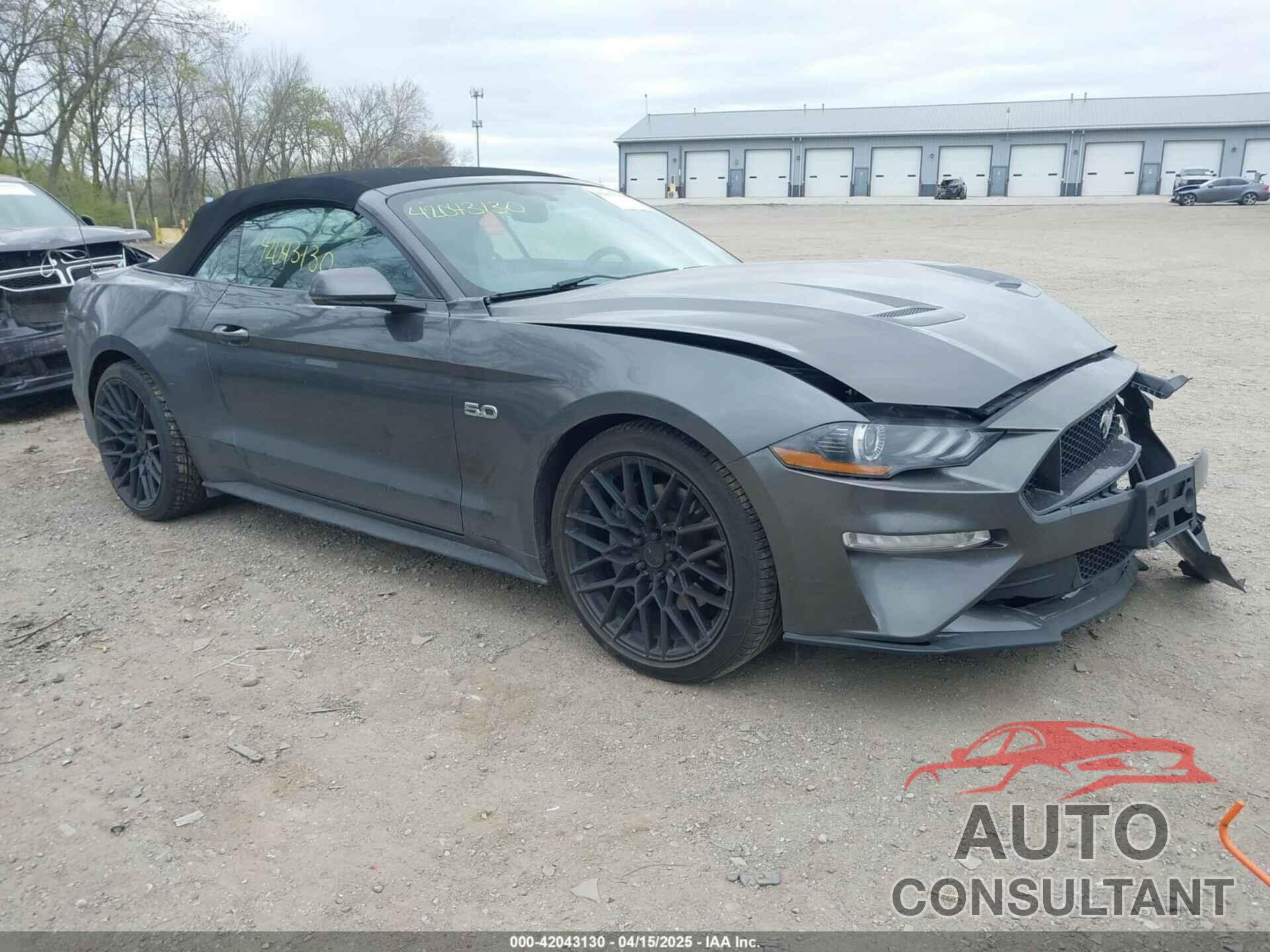 FORD MUSTANG 2019 - 1FATP8FF1K5171791