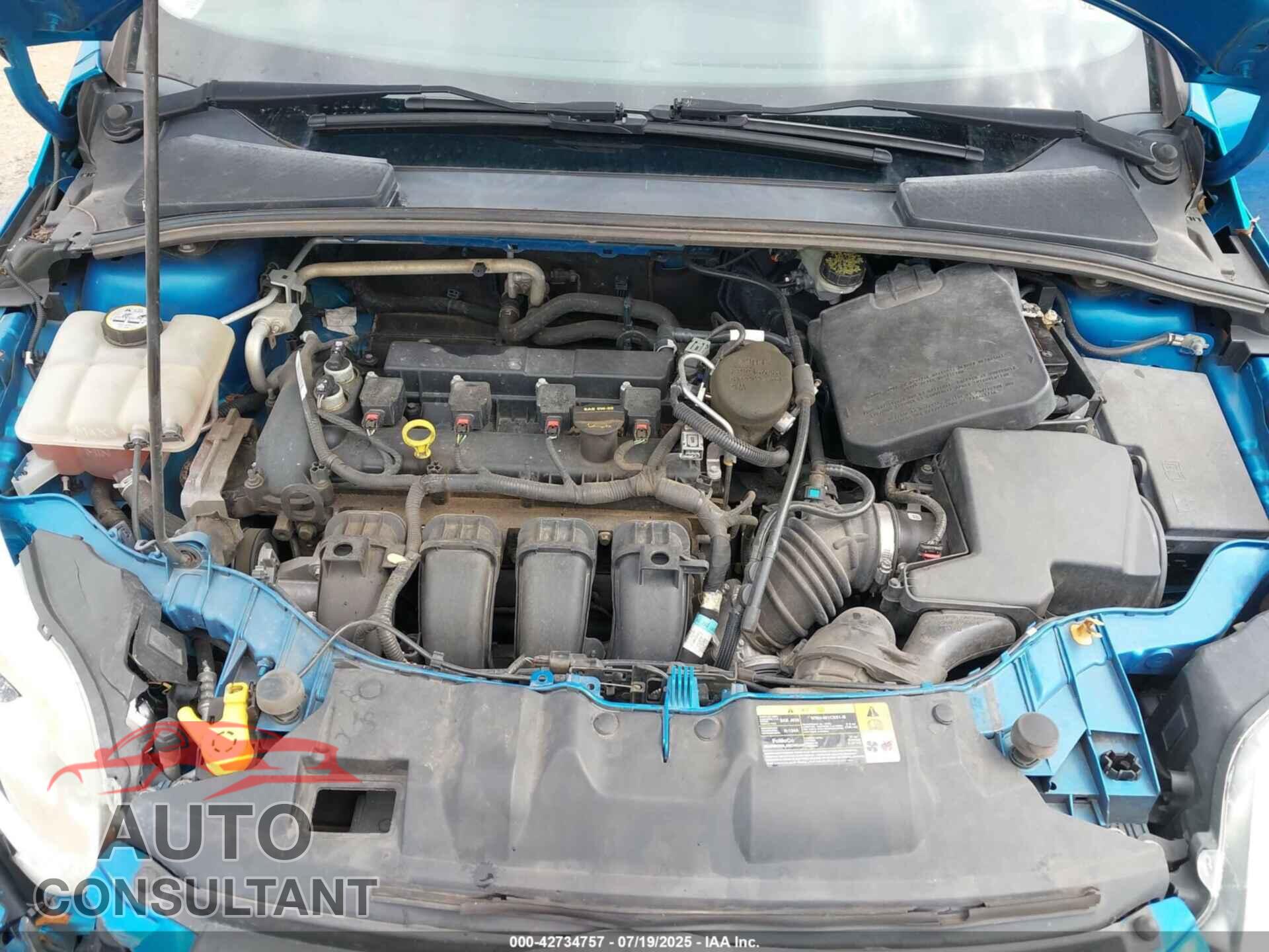 FORD FOCUS 2013 - 1FADP3F24DL195442