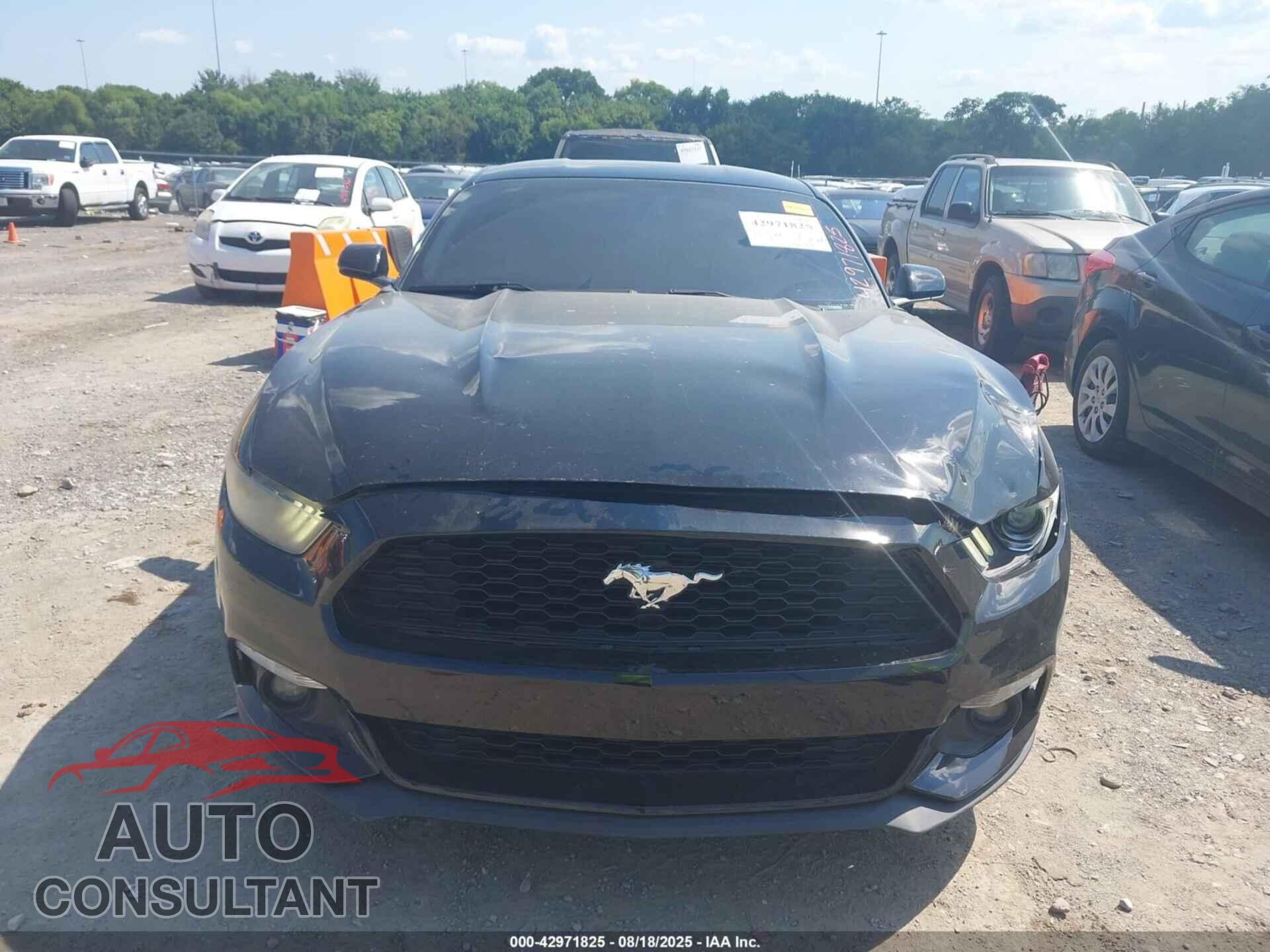 FORD MUSTANG 2016 - 1FA6P8TH4G5243559