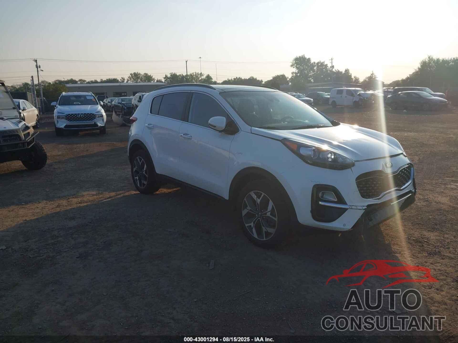 KIA SPORTAGE 2022 - KNDPNCAC9N7991336