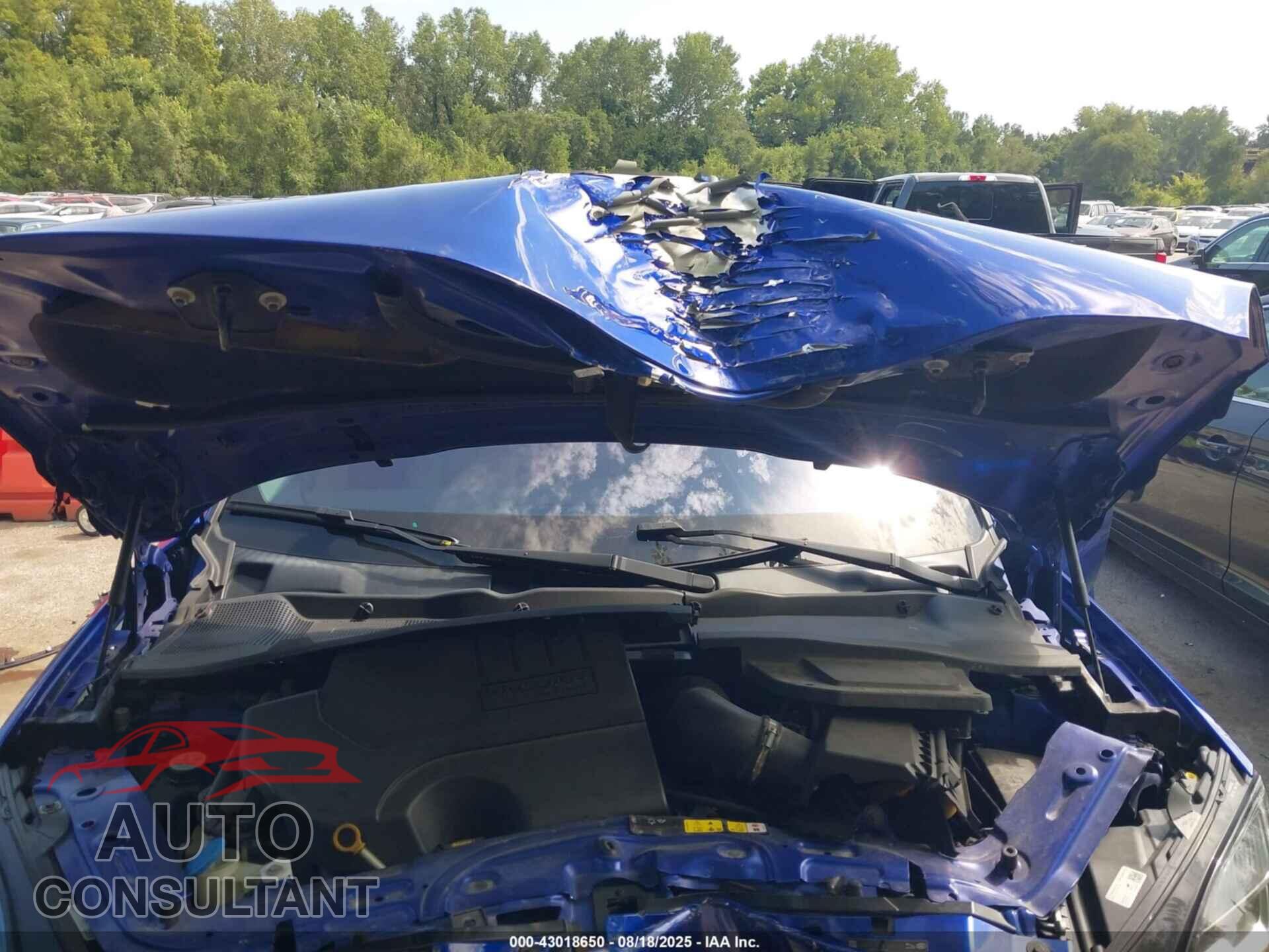 JAGUAR E-PACE 2019 - SADFP2FX3K1Z66544