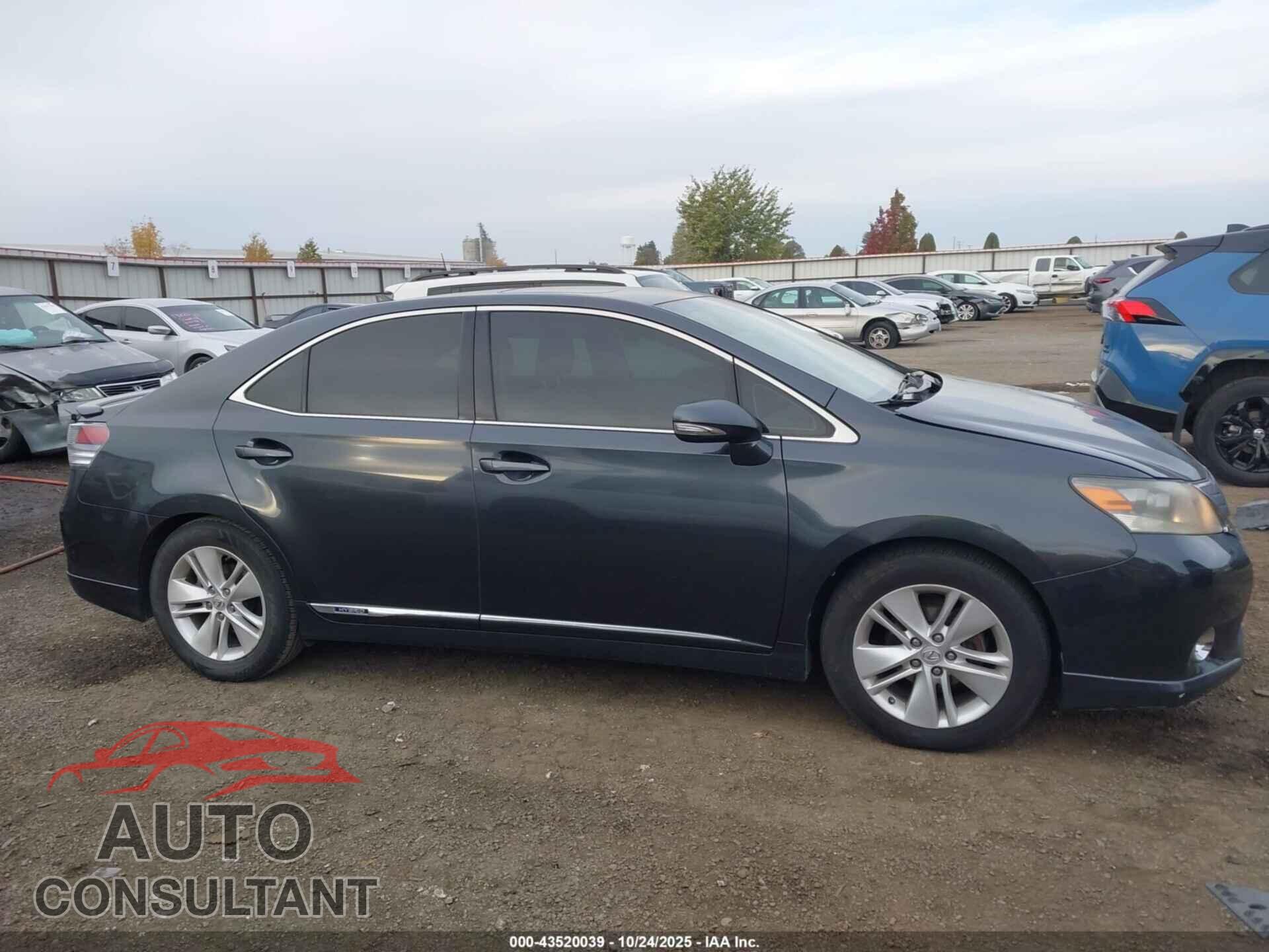 LEXUS HS 250H 2010 - JTHBB1BA0A2001605