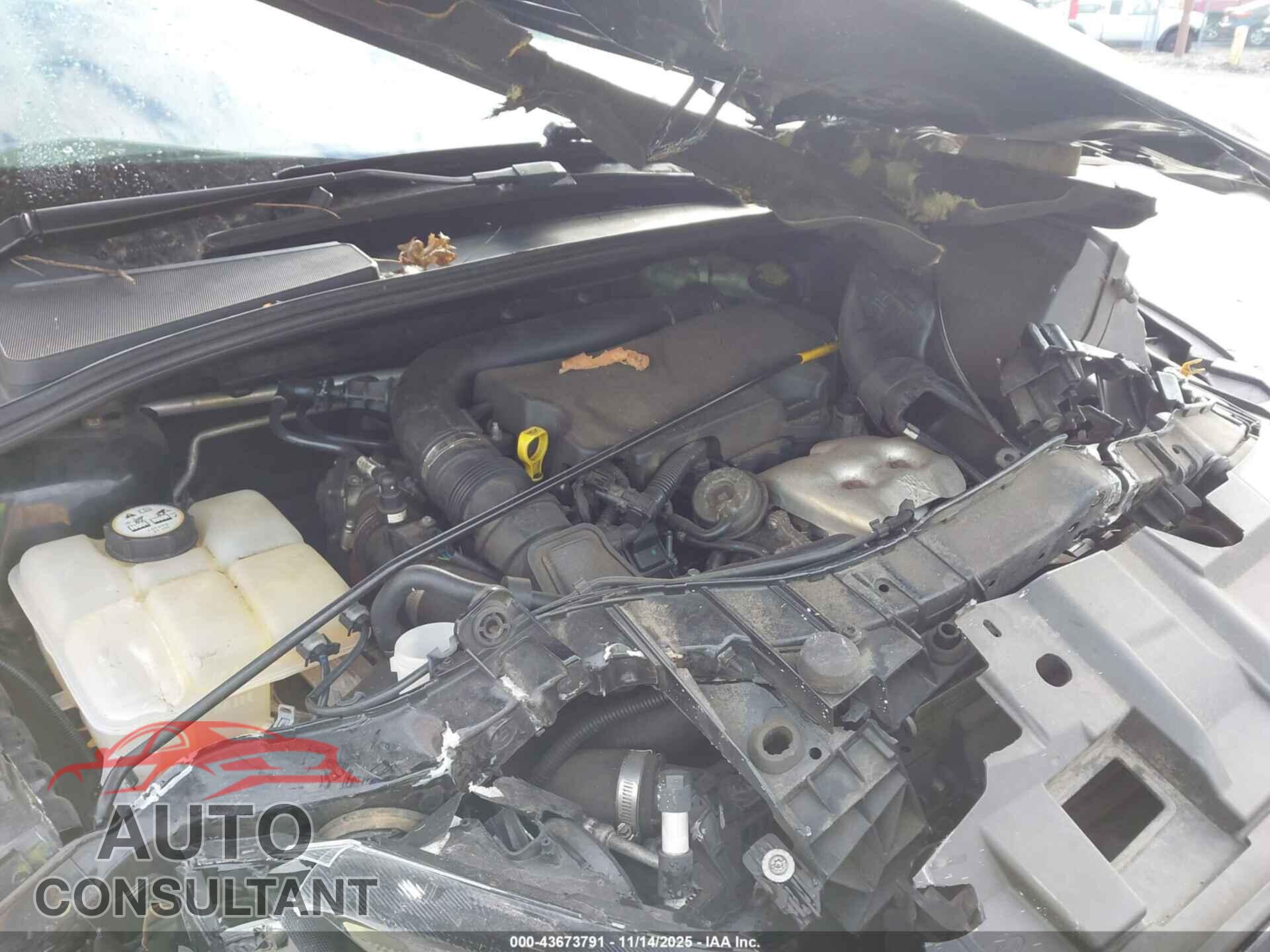FORD FOCUS 2016 - 1FADP3FE8GL273476