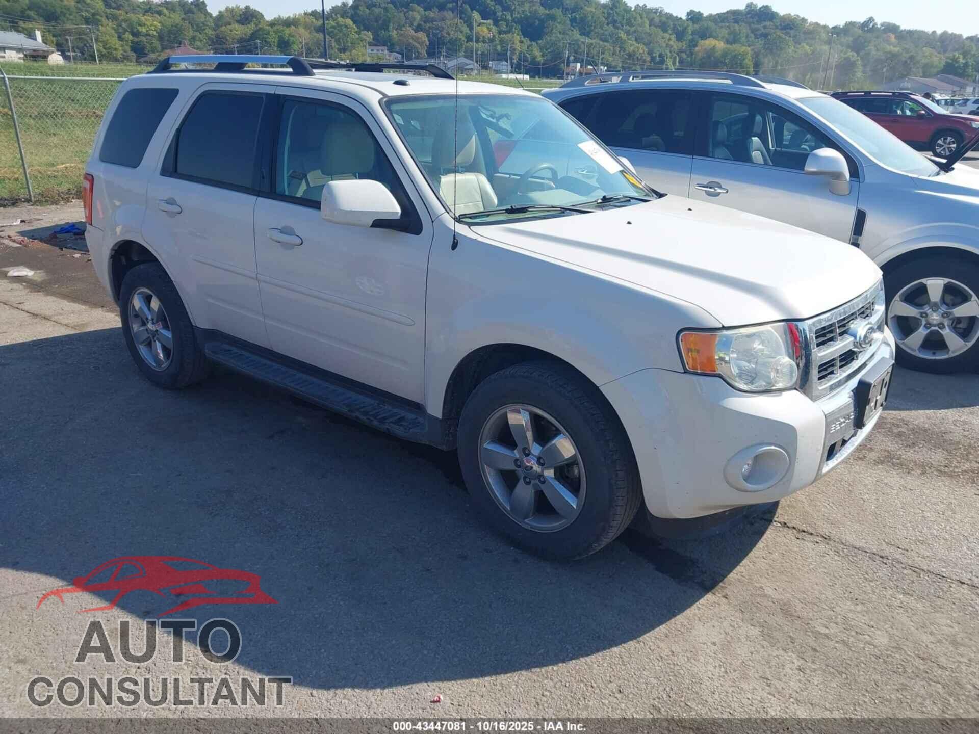 FORD ESCAPE 2010 - 1FMCU9EG3AKB92849
