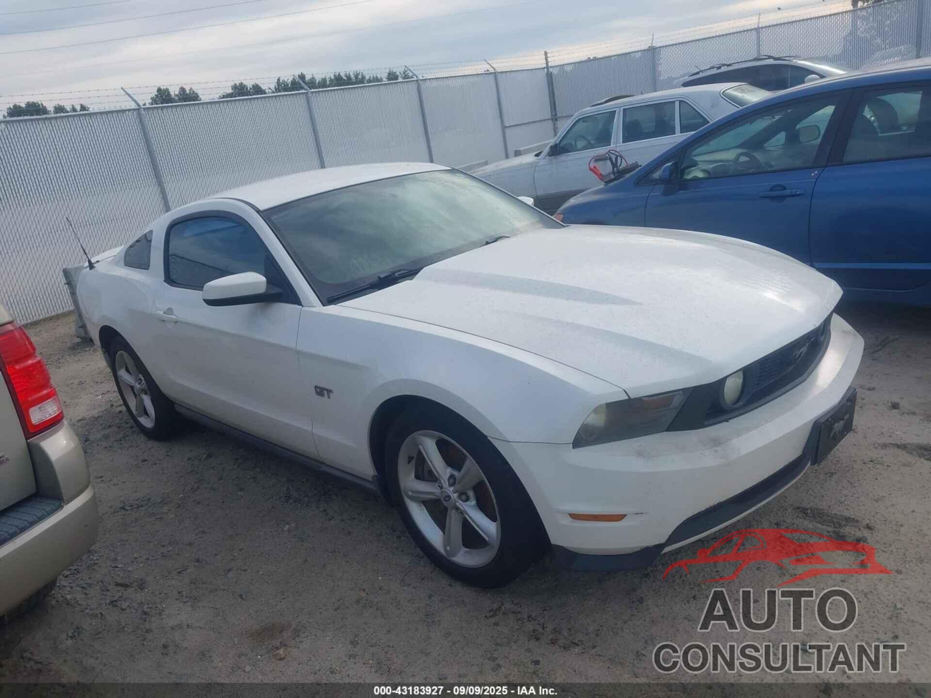 FORD MUSTANG 2010 - 1ZVBP8CH2A5126267