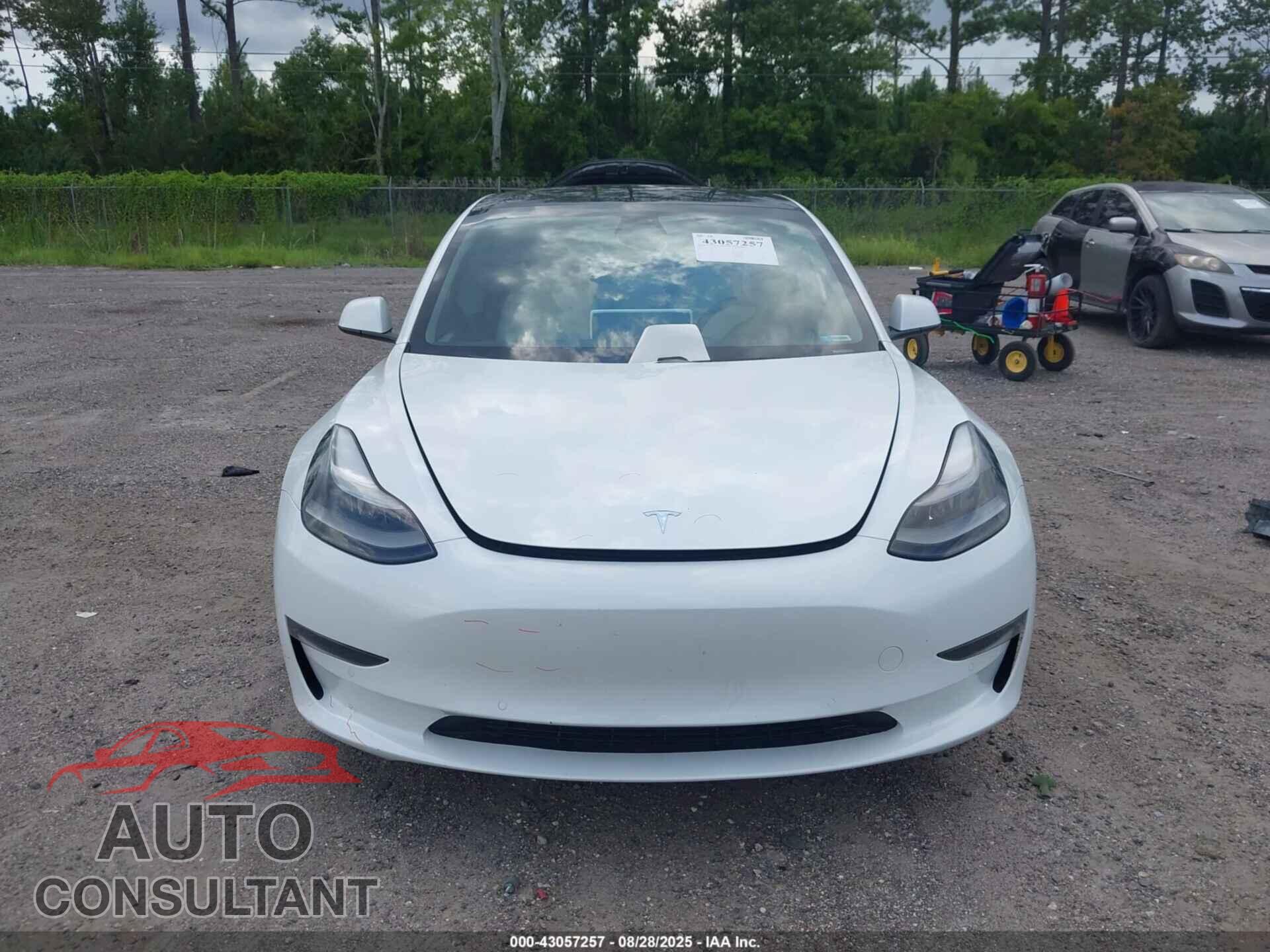 TESLA MODEL 3 2021 - 5YJ3E1EA6MF030648