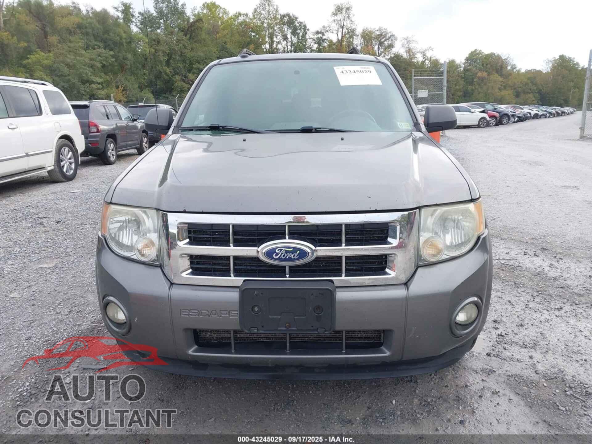 FORD ESCAPE 2011 - 1FMCU0D79BKB58462