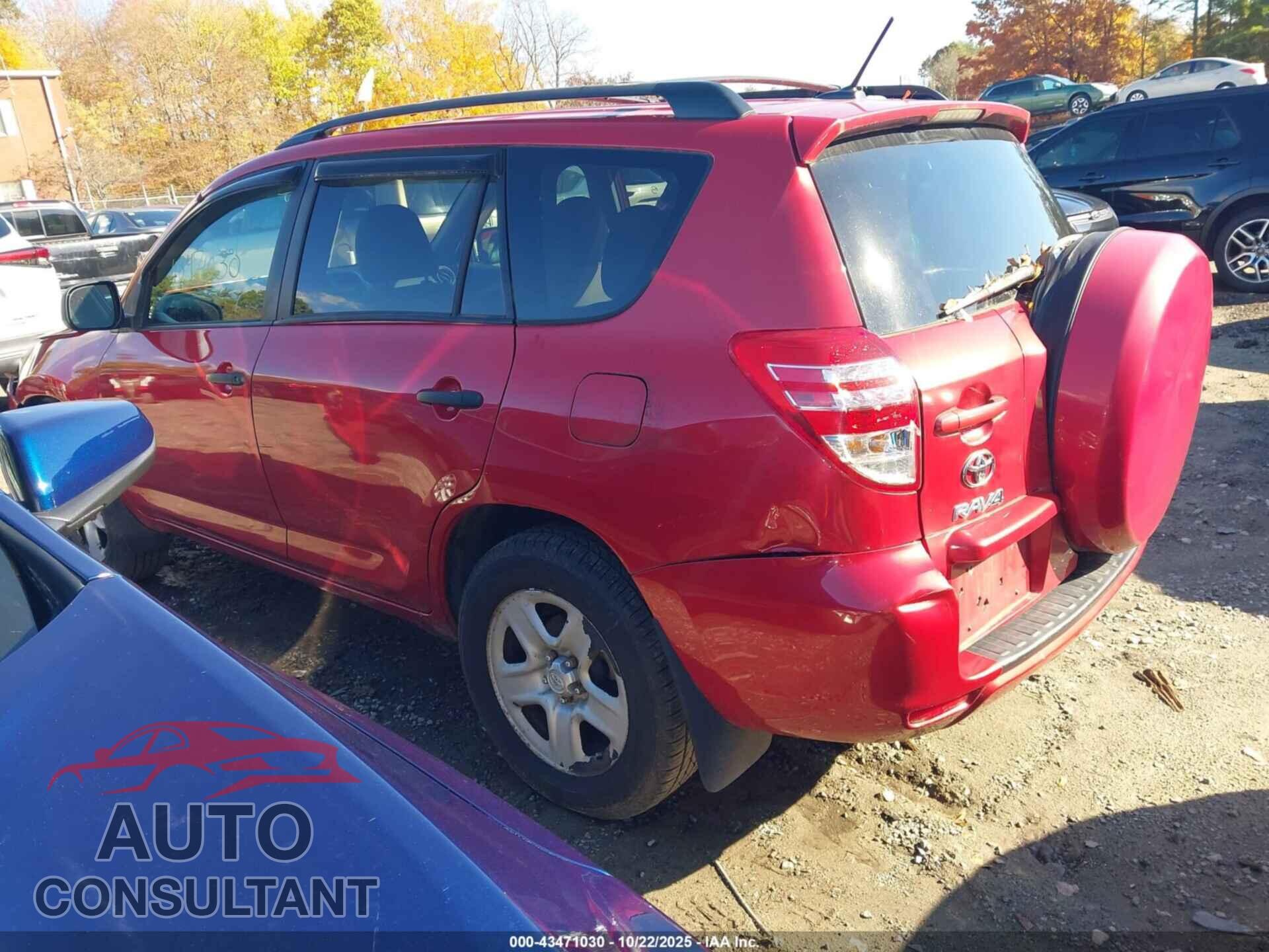 TOYOTA RAV4 2011 - 2T3BF4DV8BW175924