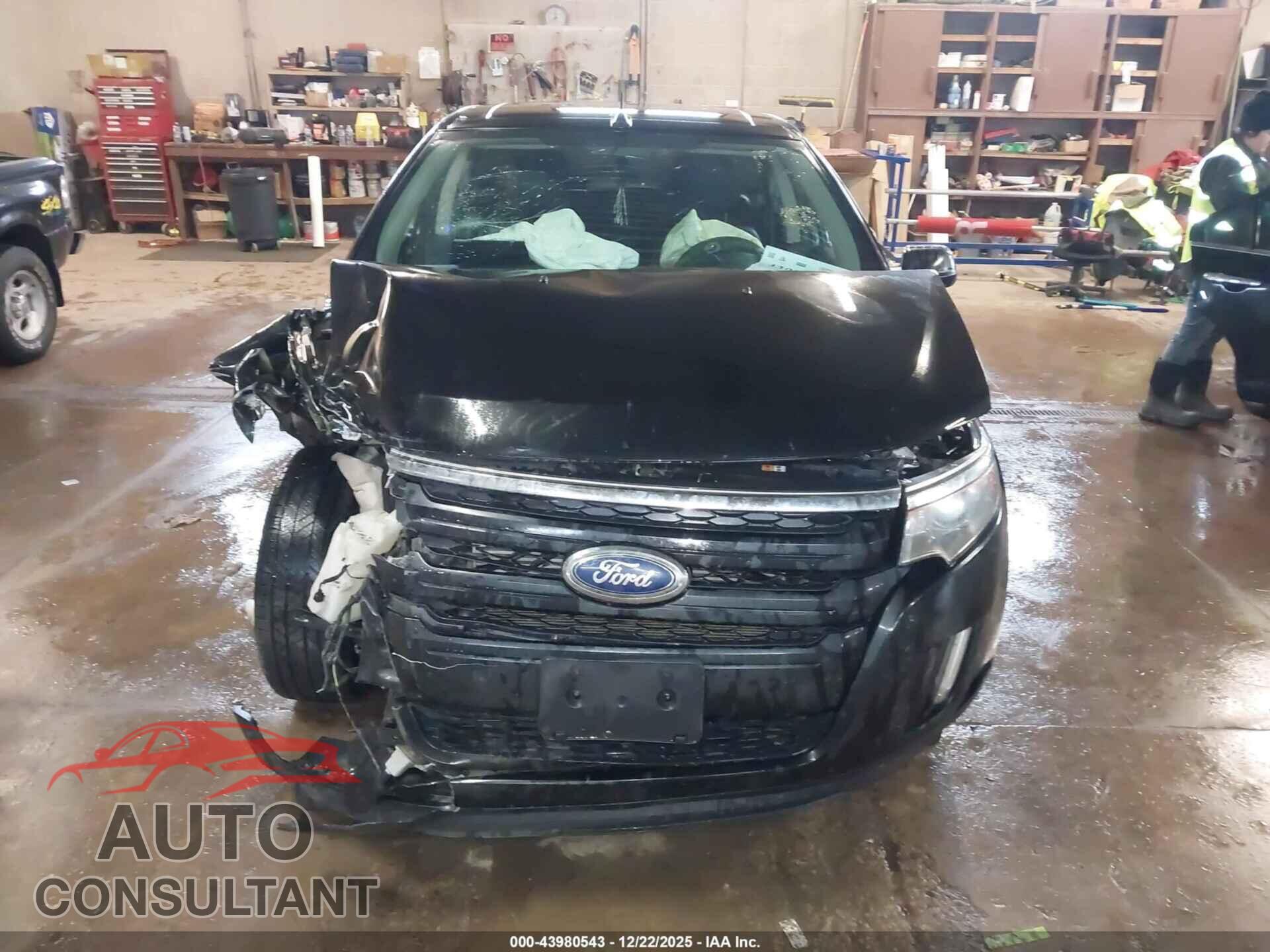 FORD EDGE 2013 - 2FMDK3J93DBE19745