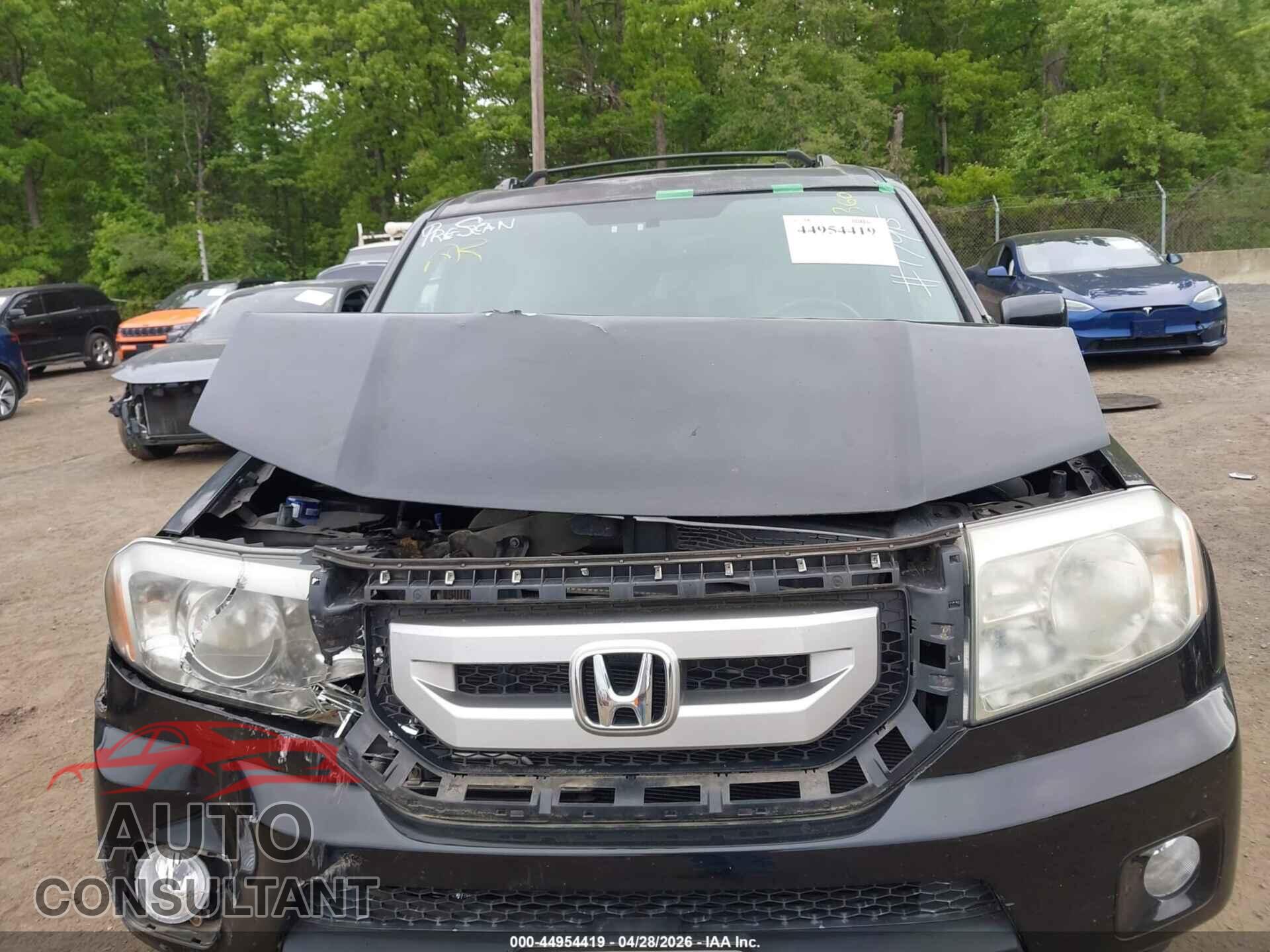 HONDA PILOT 2011 - 5FNYF4H77BB004660