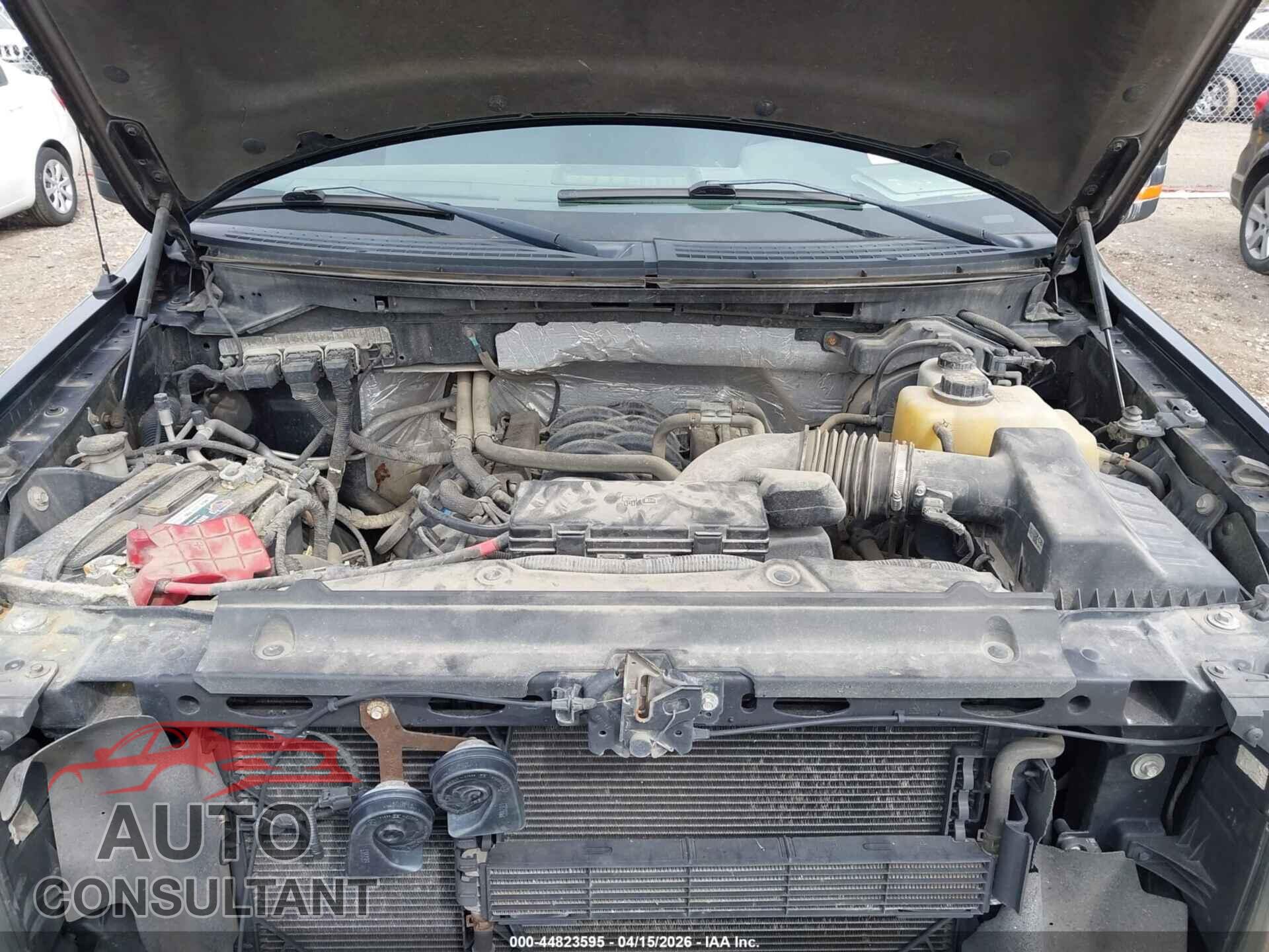 FORD F-150 2013 - 1FTFX1EF1DFD24747