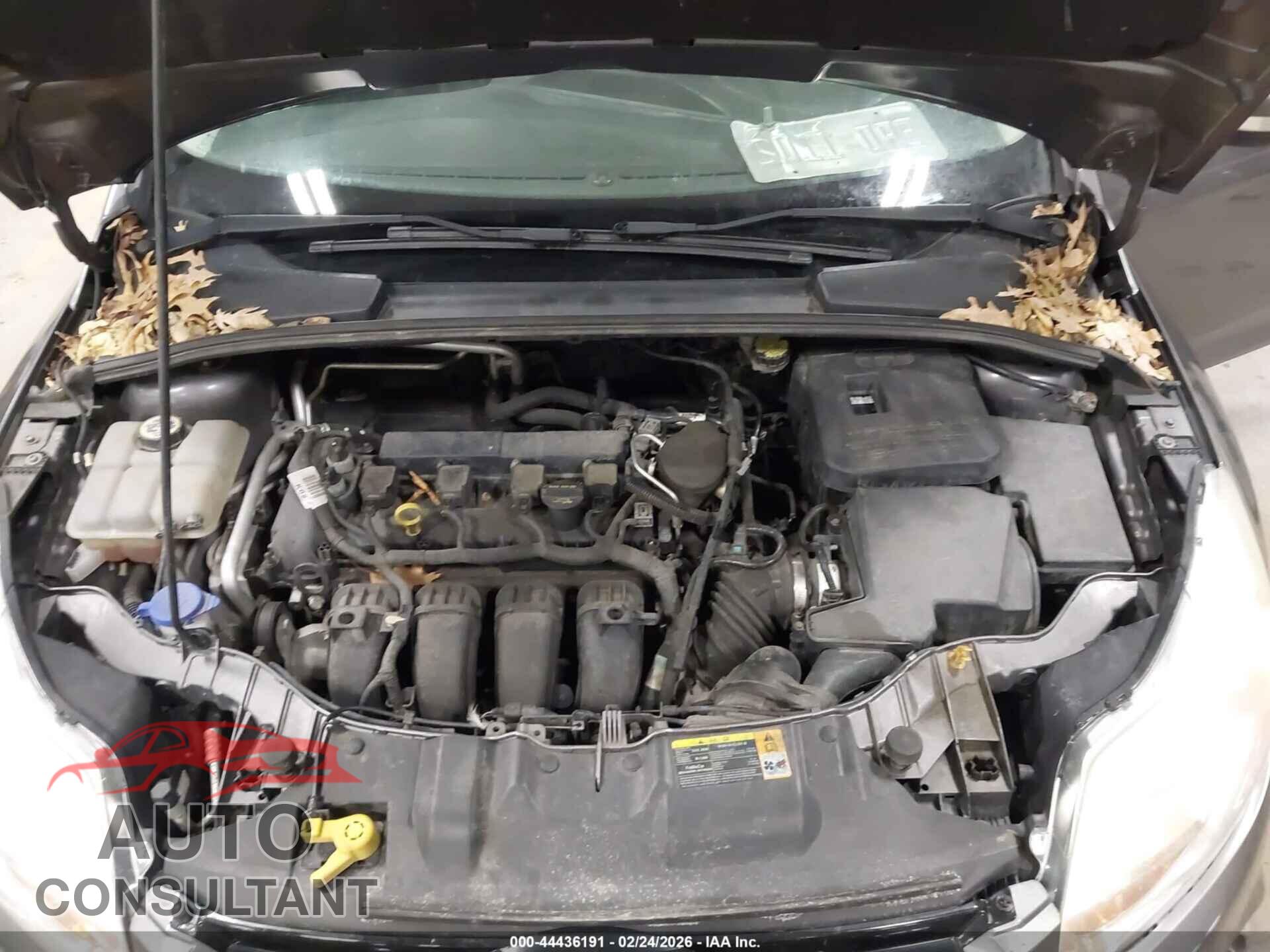 FORD FOCUS 2012 - 1FAHP3M27CL195423
