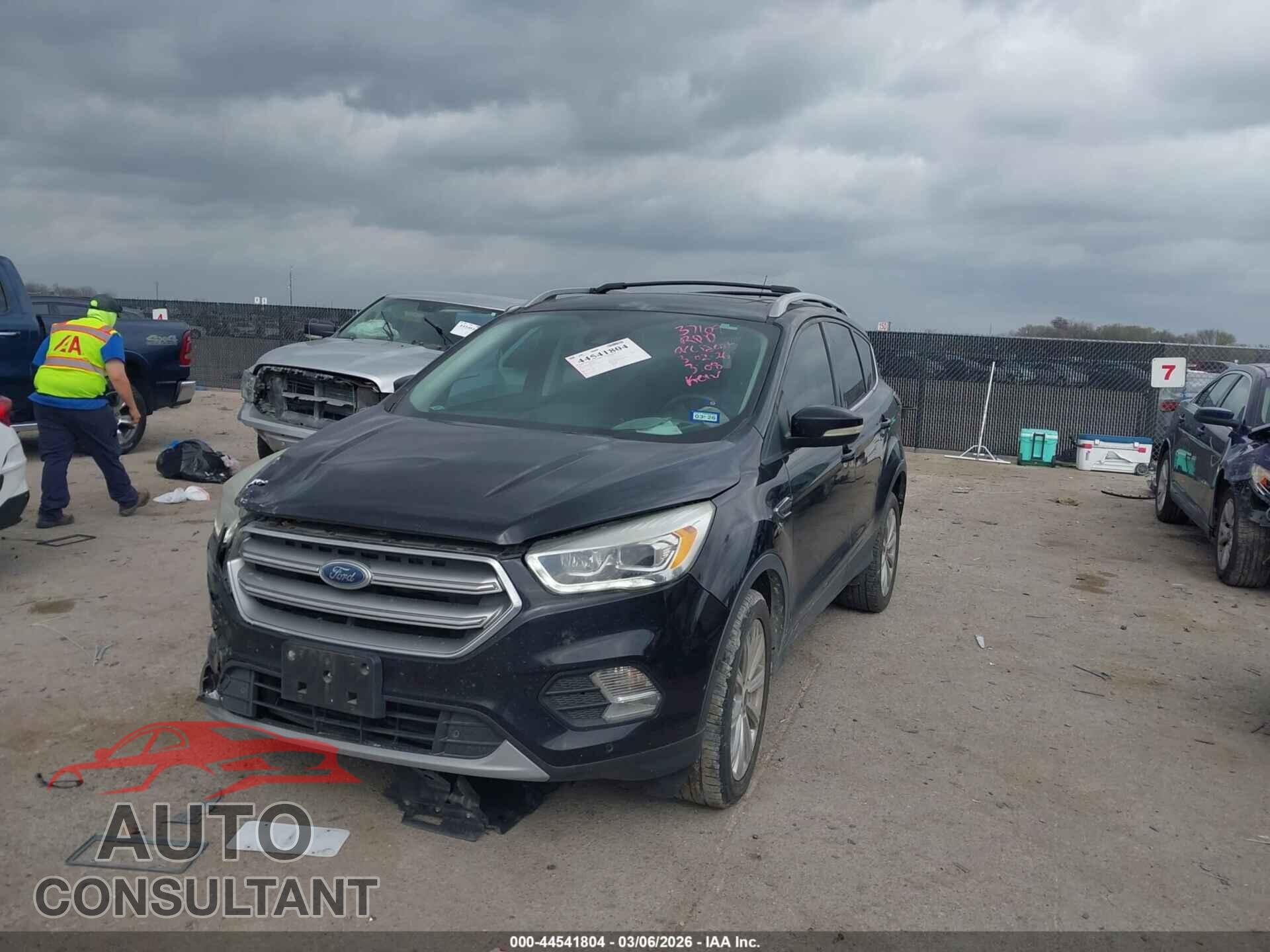 FORD ESCAPE 2017 - 1FMCU0J94HUD10070
