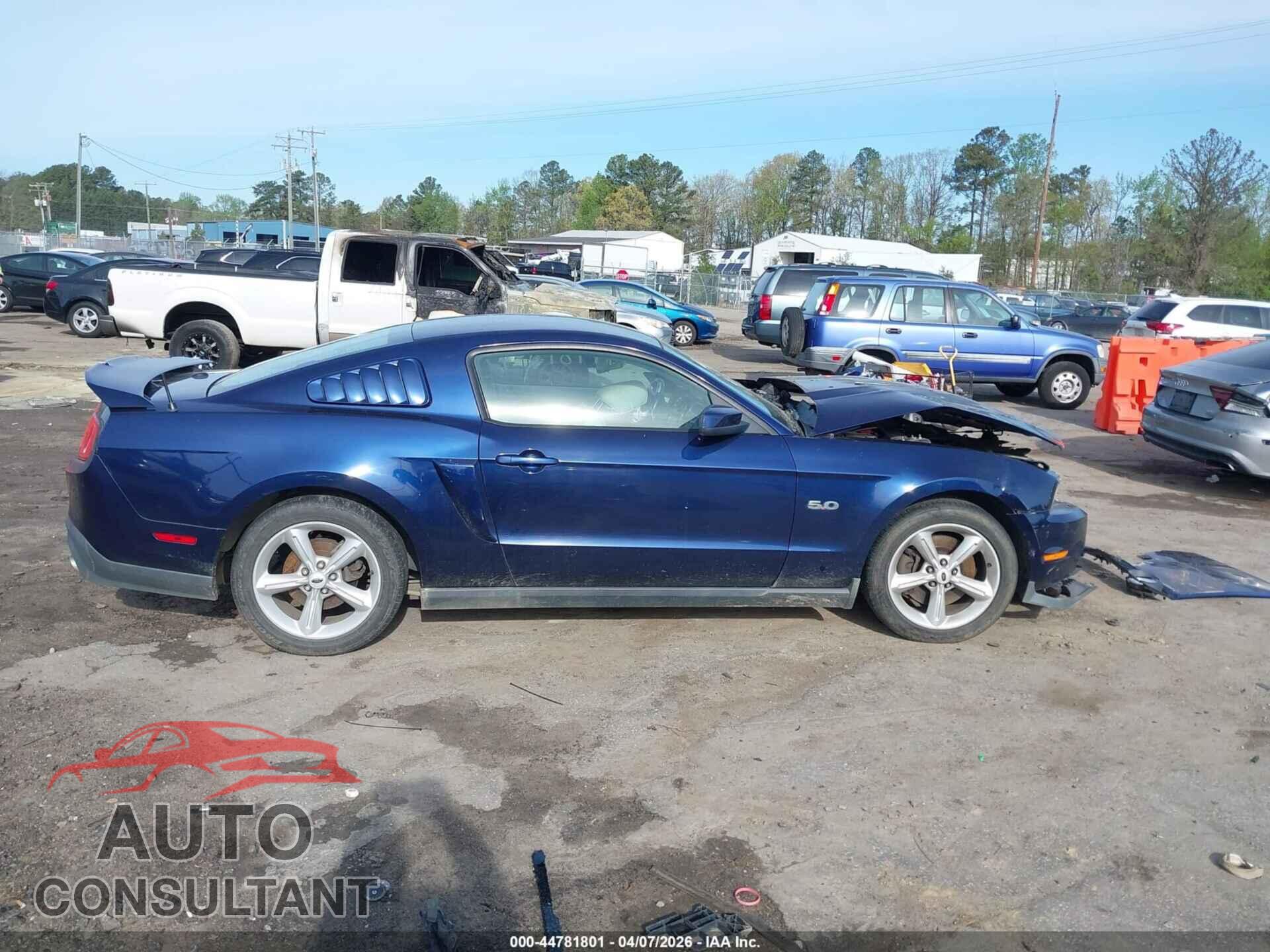 FORD MUSTANG 2011 - 1ZVBP8CF5B5148960