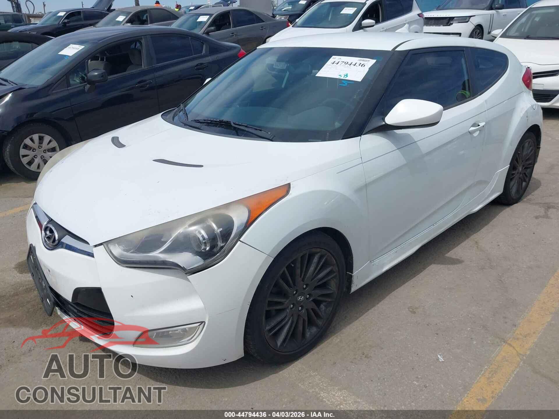 HYUNDAI VELOSTER 2013 - KMHTC6AD1DU134387