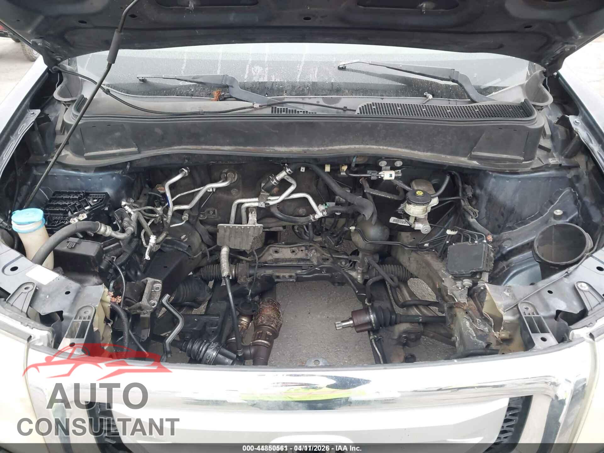 HONDA PILOT 2009 - 5FNYF38559B026806