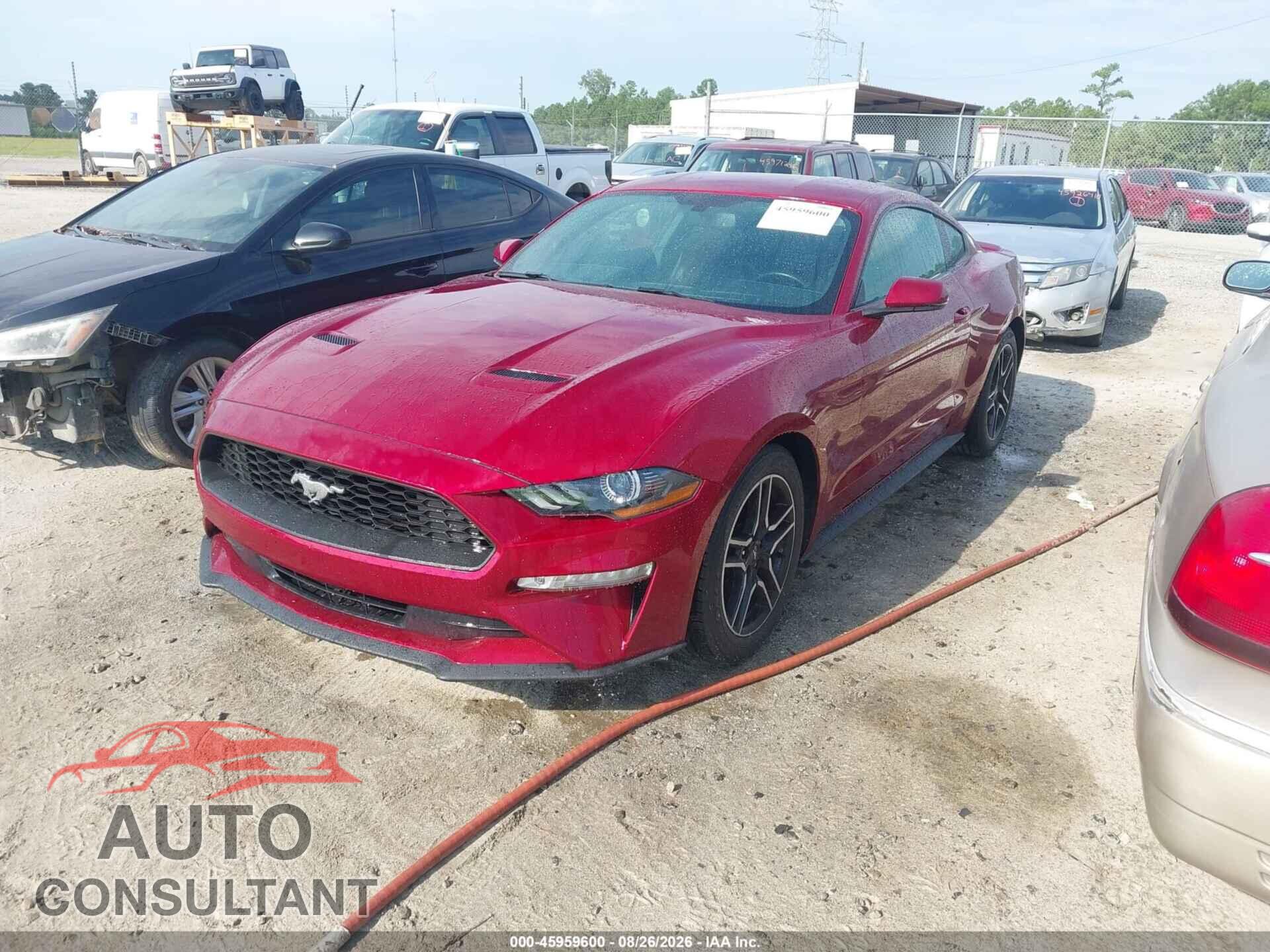 FORD MUSTANG 2019 - 1FA6P8TH2K5116477