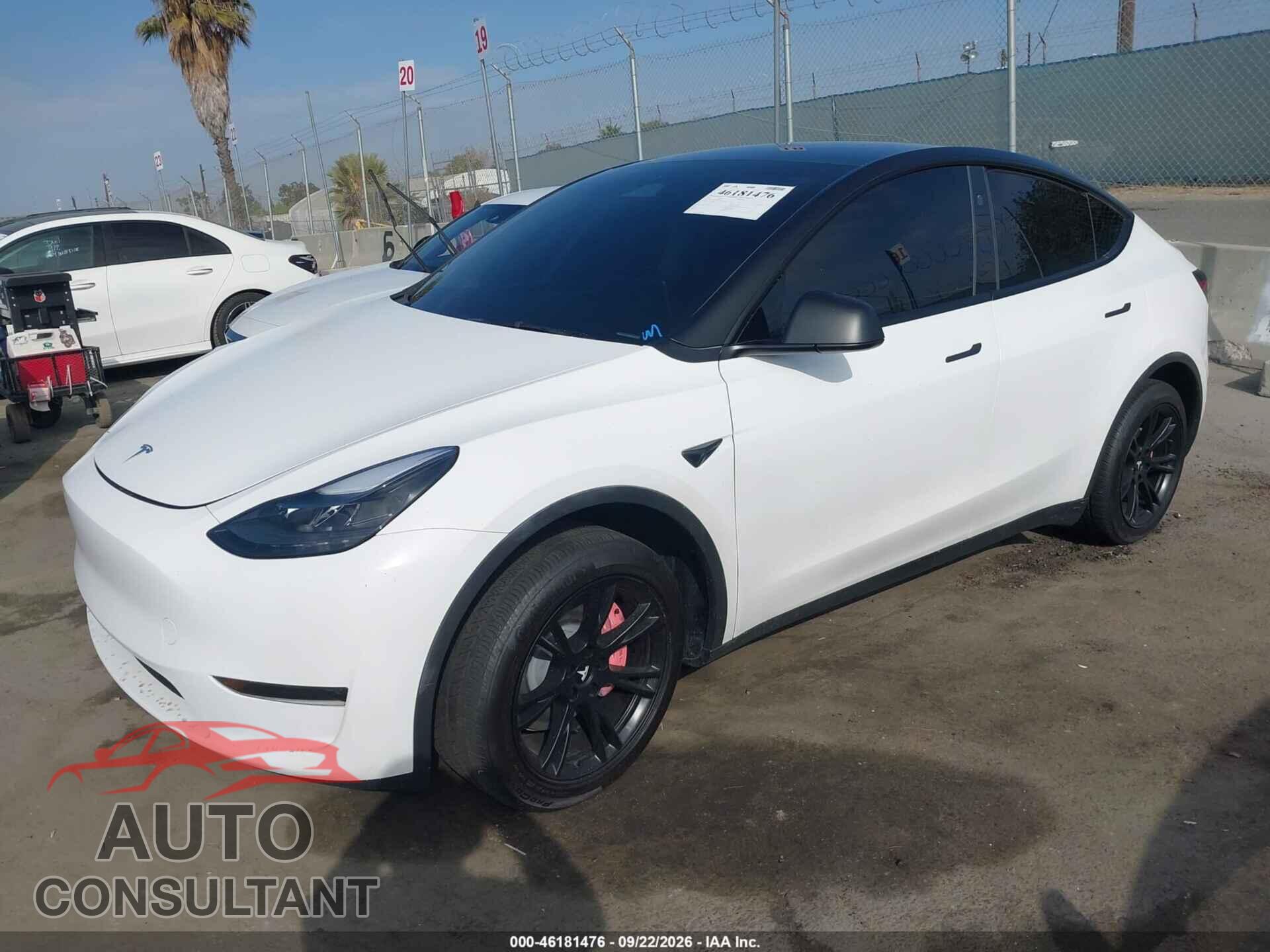 TESLA MODEL Y 2024 - 7SAYGDED8RF092025