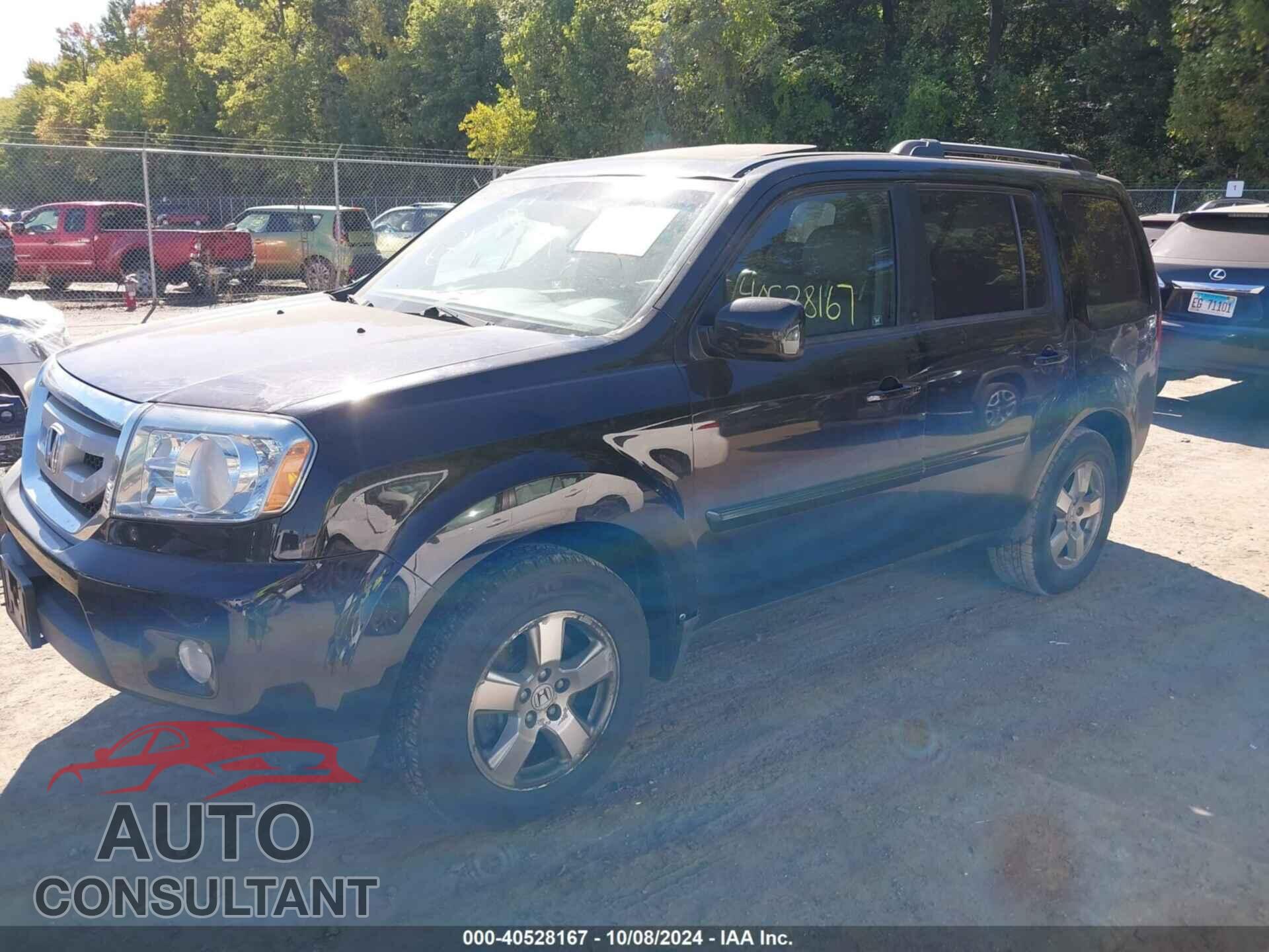 HONDA PILOT 2011 - 5FNYF4H55BB057629