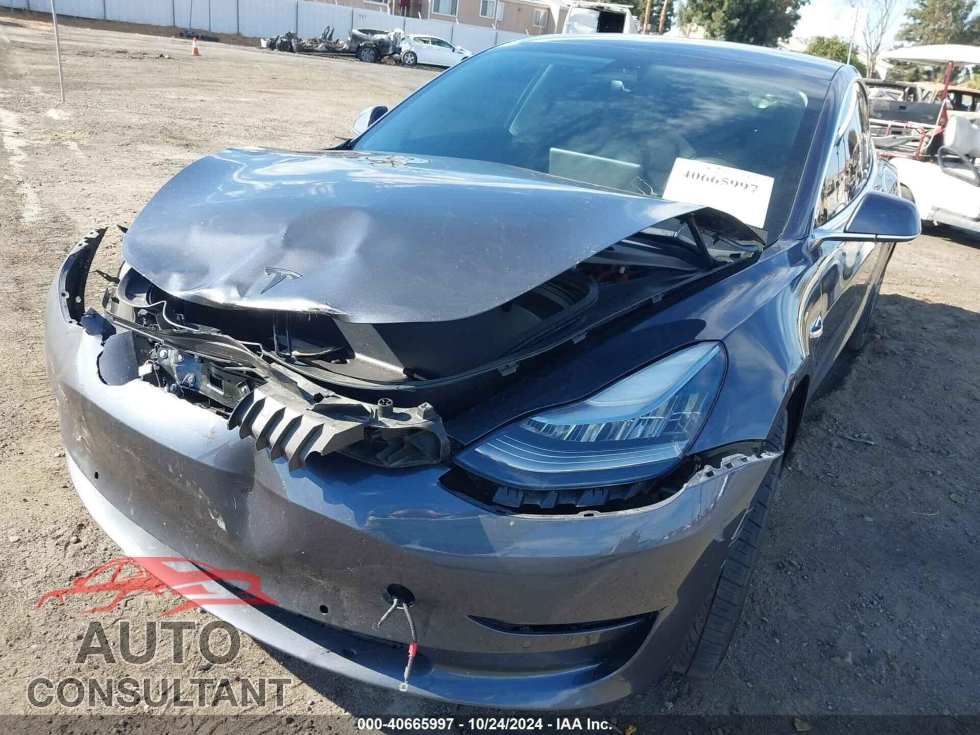 TESLA MODEL 3 2019 - 5YJ3E1EAXKF417247