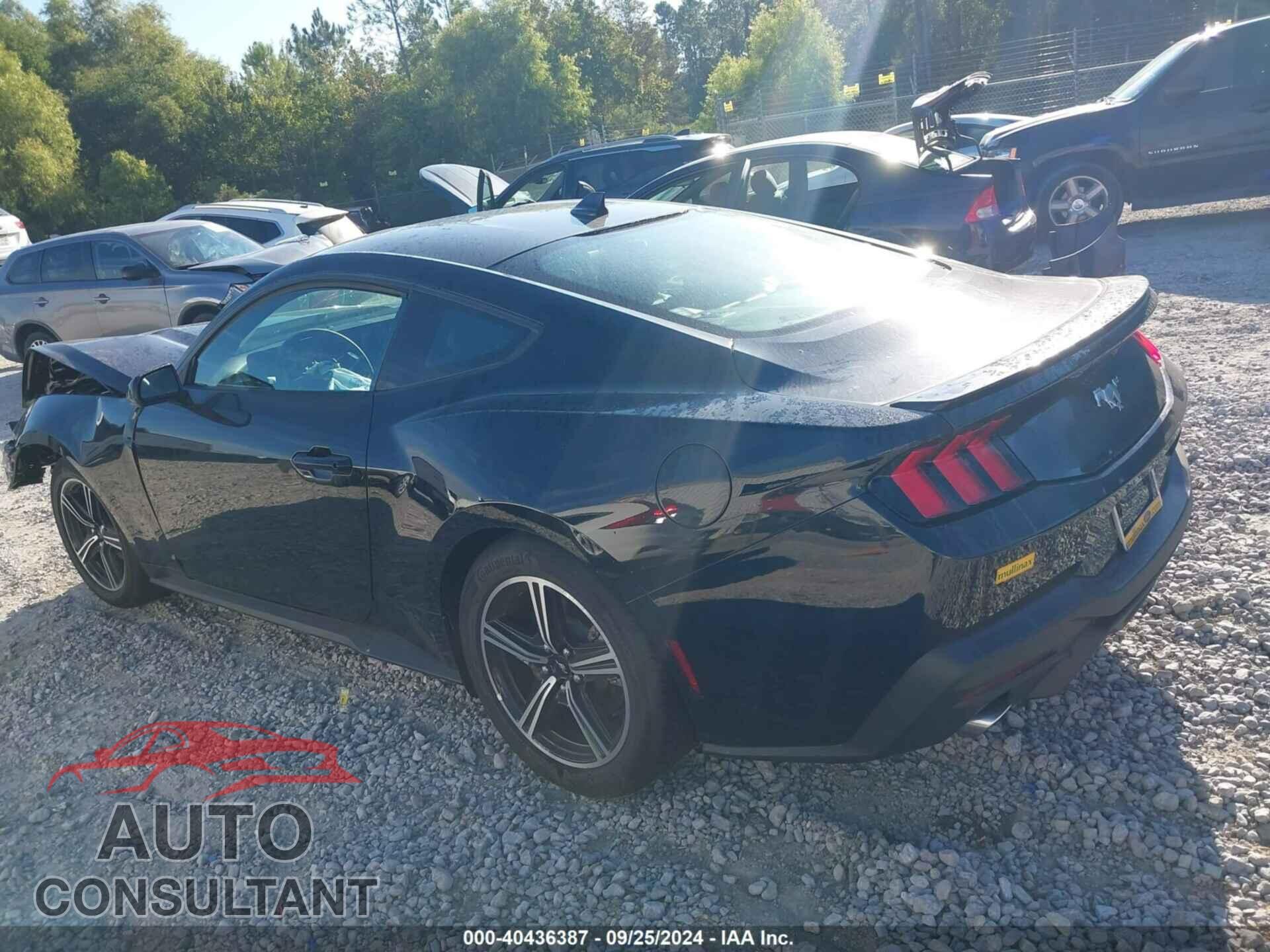 FORD MUSTANG 2024 - 1FA6P8TH1R5117596